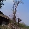 Image 20200915 23673 1m49gir
