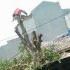 Image 20201013 10007 o02vd4