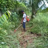 Jasa potong rumput ja jasa jasa lainnya 29479299