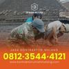 TERMURAH!! WA: O8l2-3544-4l2l,Renovasi Rumah Sederhana Malang (29562674) di Kab. Malang