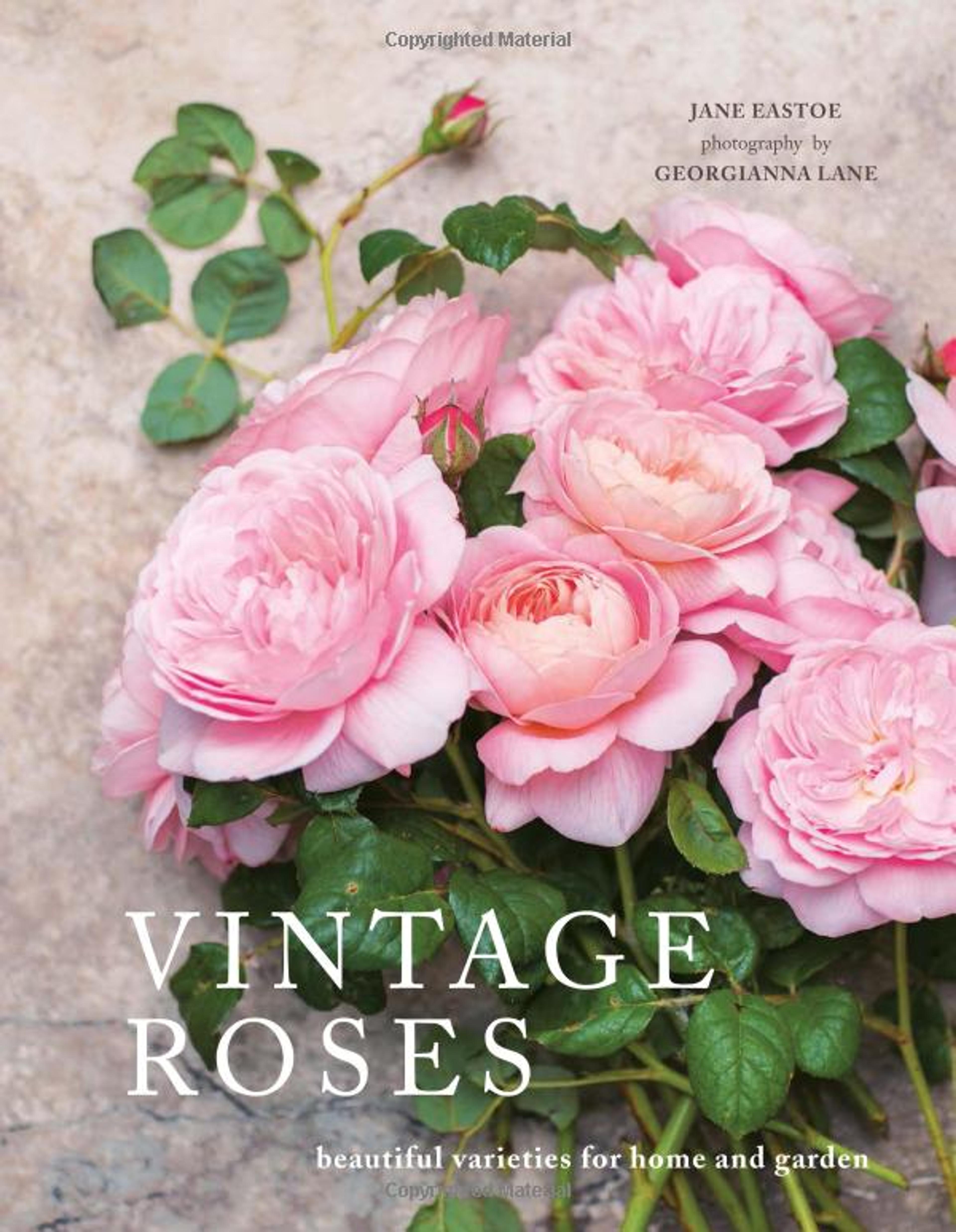 Vintage Roses: Beautiful Varieties for Home and Garden