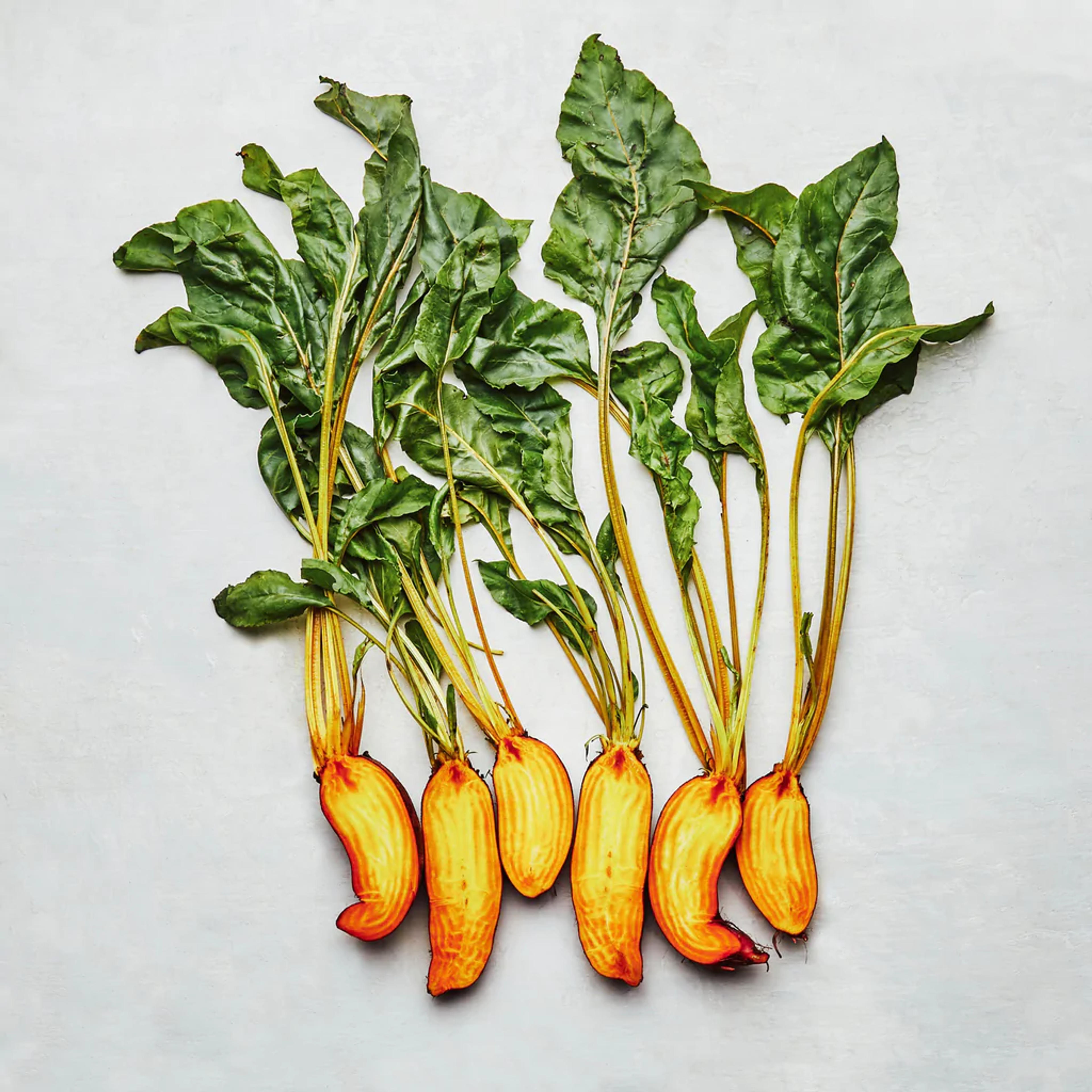 Badger Flame Beet – Row 7 Seed Company