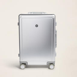 Aluminum Carry-On Suitcase - SO HOT RIGHT NOW