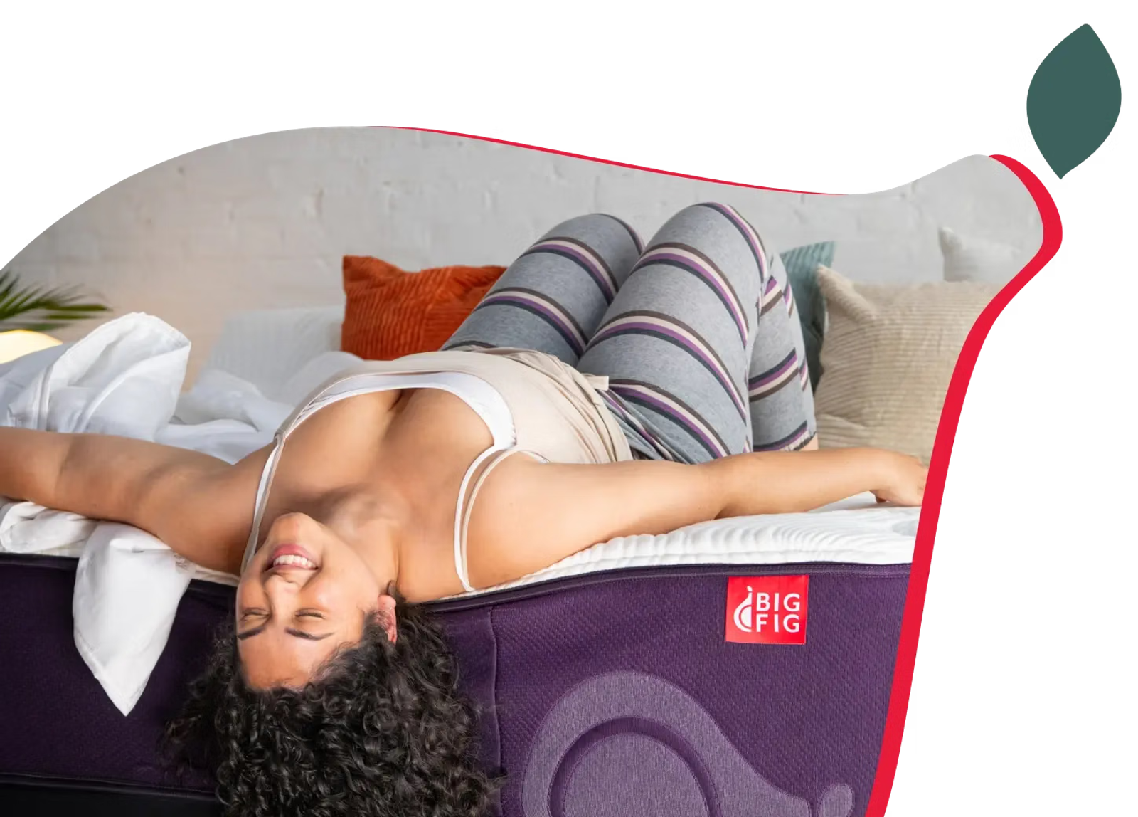 big-fig-mattress