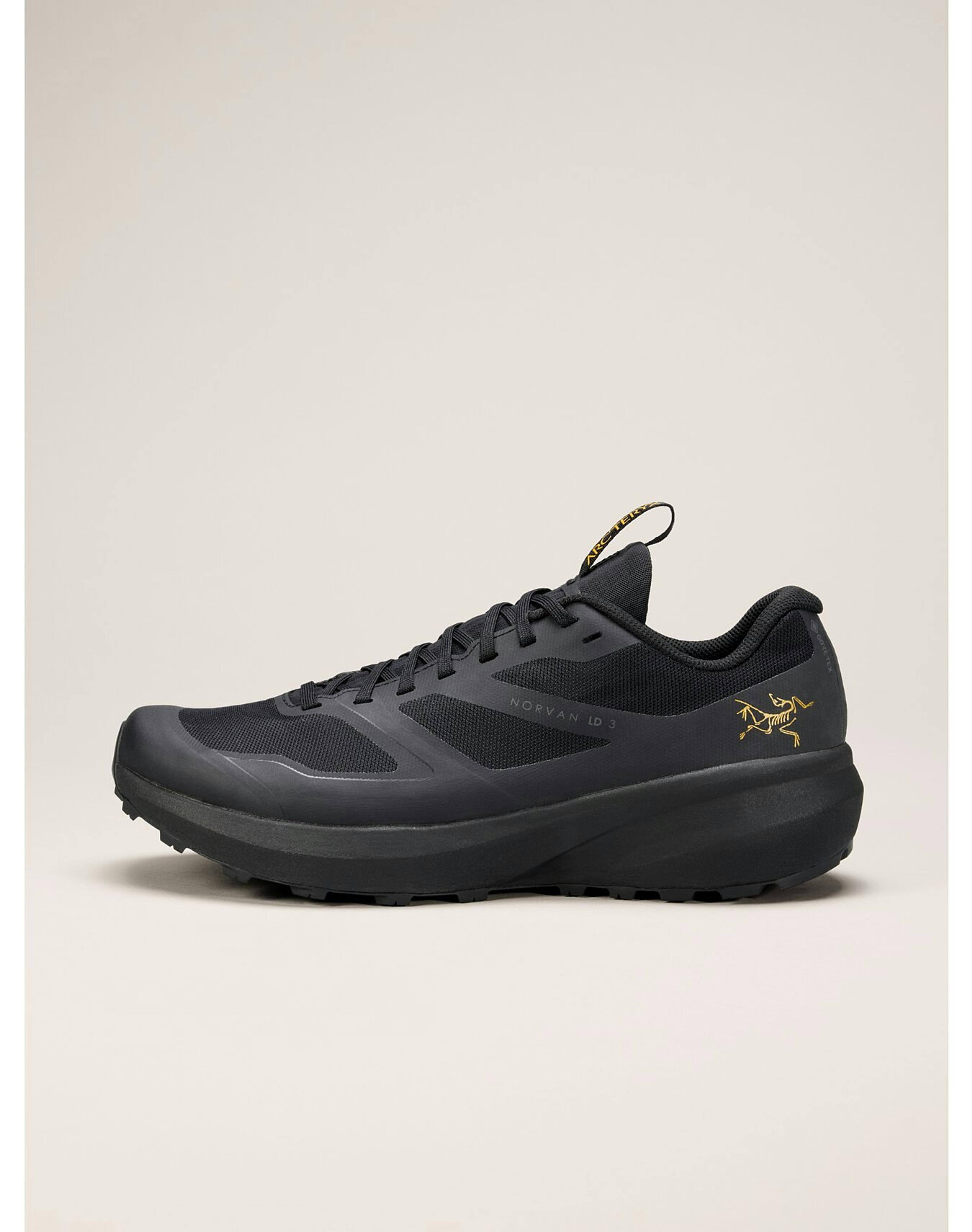 Norvan LD 3 GTX Shoe Men's | Arc'teryx