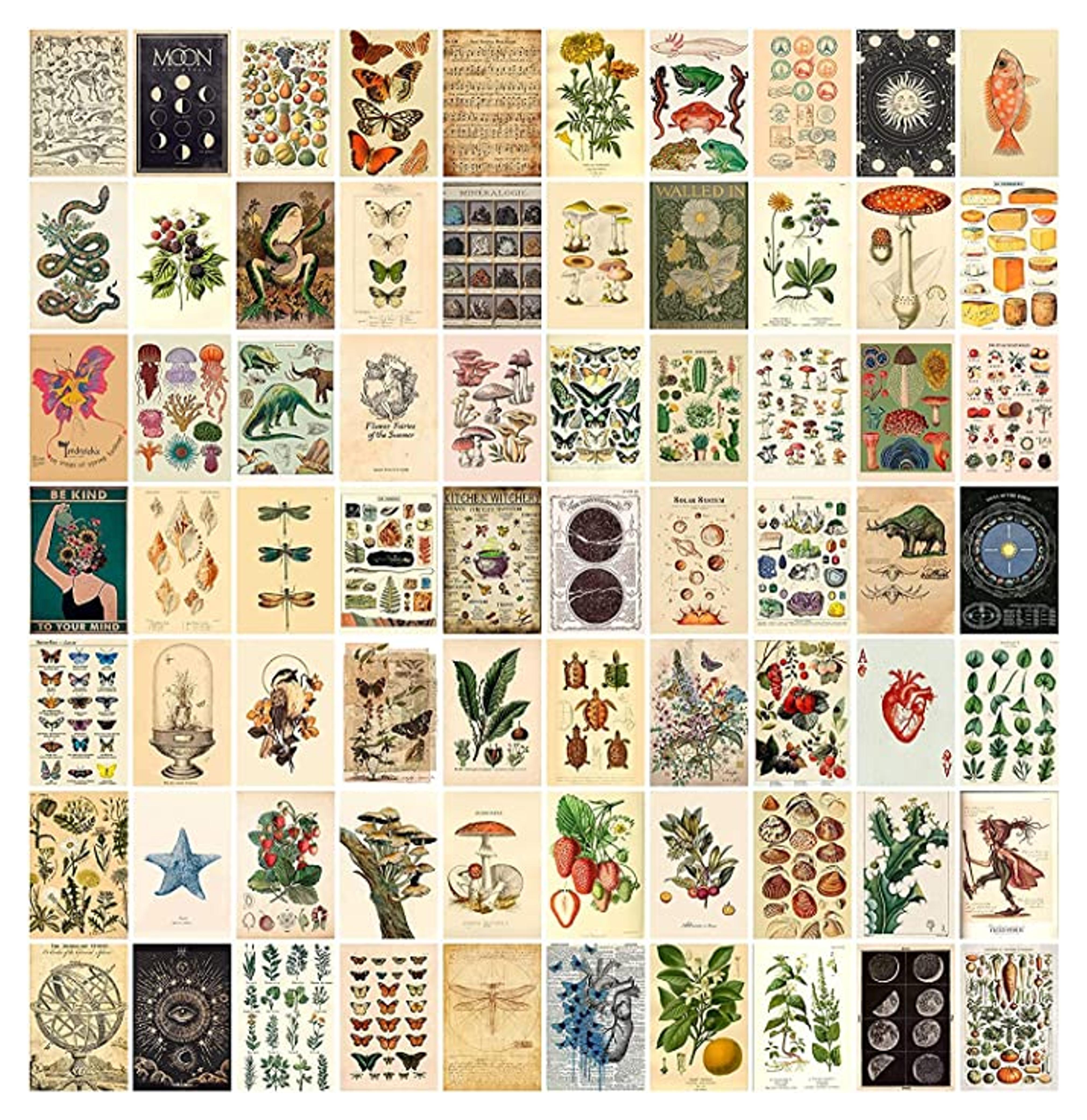 Amazon.com: Vintage Wall Collage Kit 70 pcs Aesthetic Room Decor Pictures Botanical Wall Art Illustration Dorm Decor Photo Prints Vintage Tarot Posters Trendy Bedroom Decor for Teen Girls (yellow) : Home & Kitchen