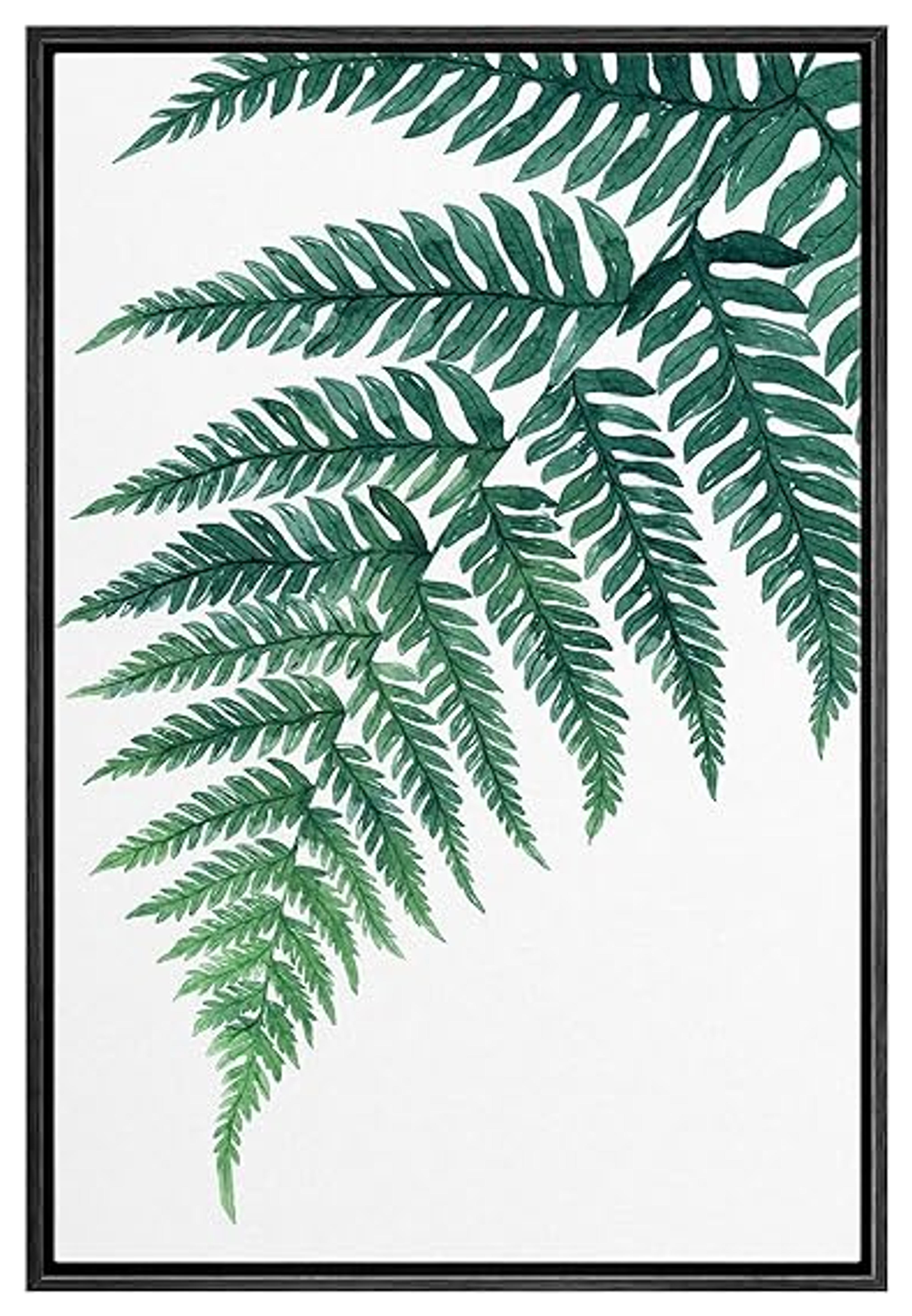 Amazon.com: SIGNWIN Framed Canvas Print Wall Art Green Wild Forest Fern Leaf Nature Wilderness Digital Art Modern Art Decorative Minimal Rustic Colorful Zen for Living Room, Bedroom, Office - 16"x24" Black: Posters & Prints