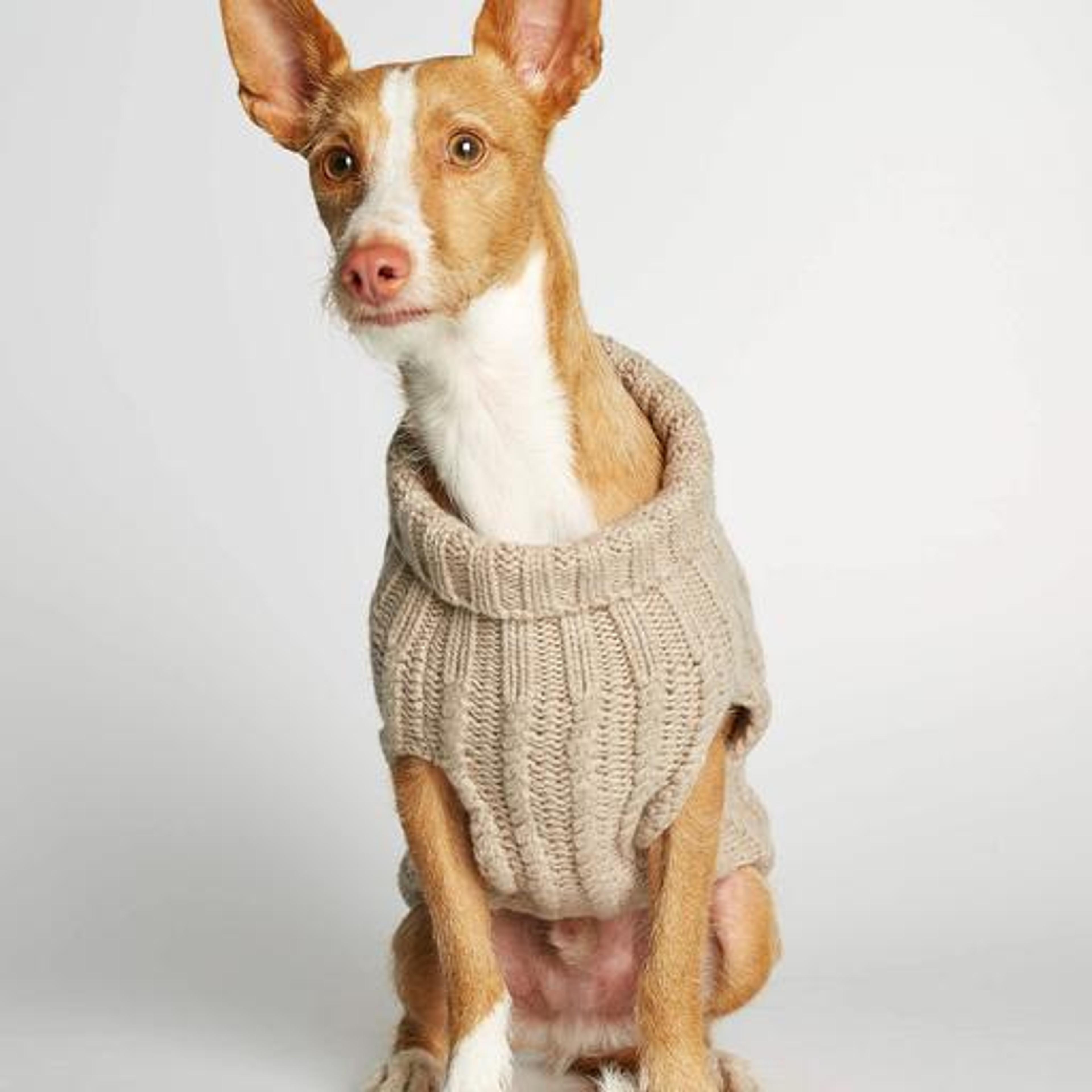 John B. Beige Merino Wool and Cashmere Dog Winter Sweater