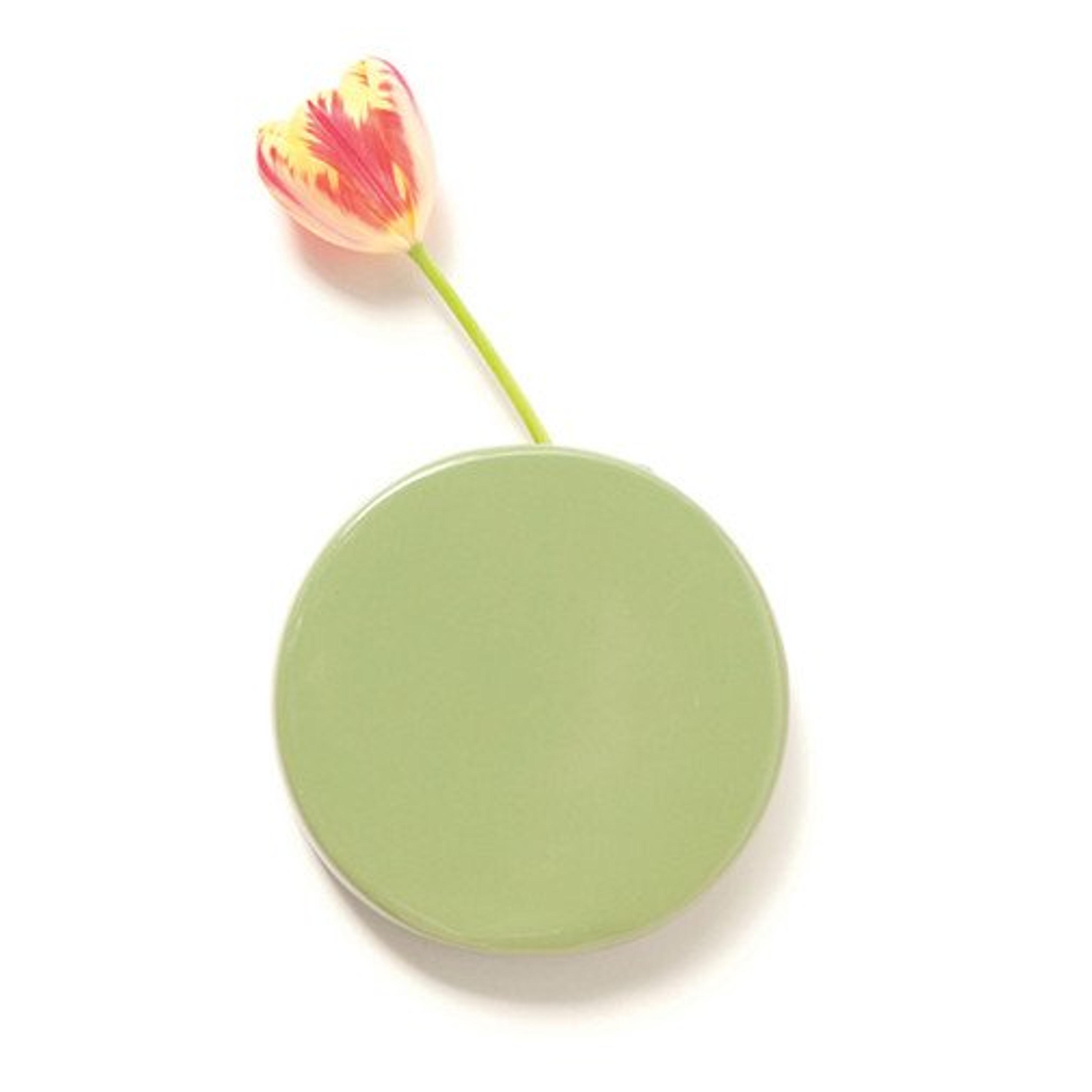 Chive Wall Dot Kermit Vase