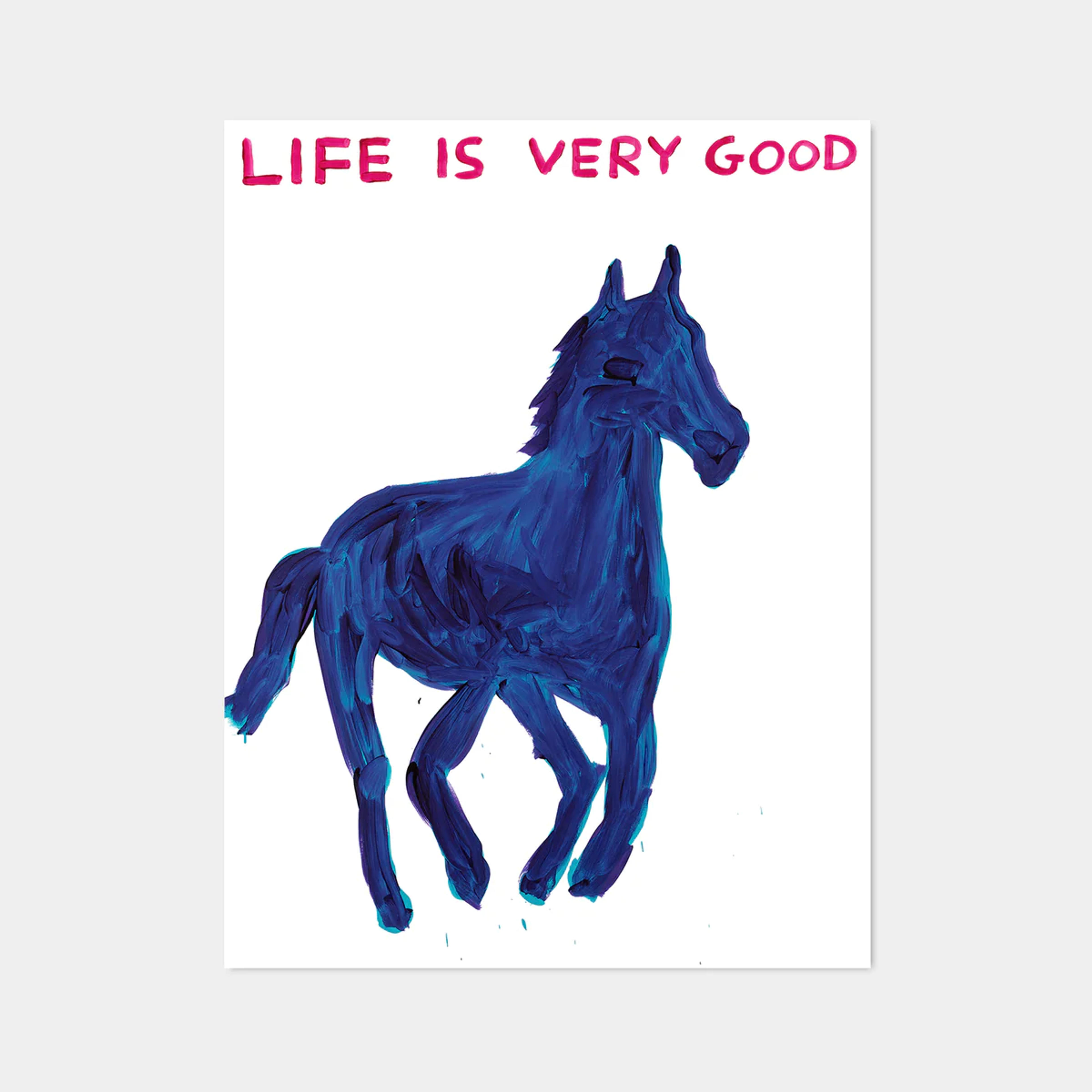 David Shrigley Original Poster - Life is Very Good