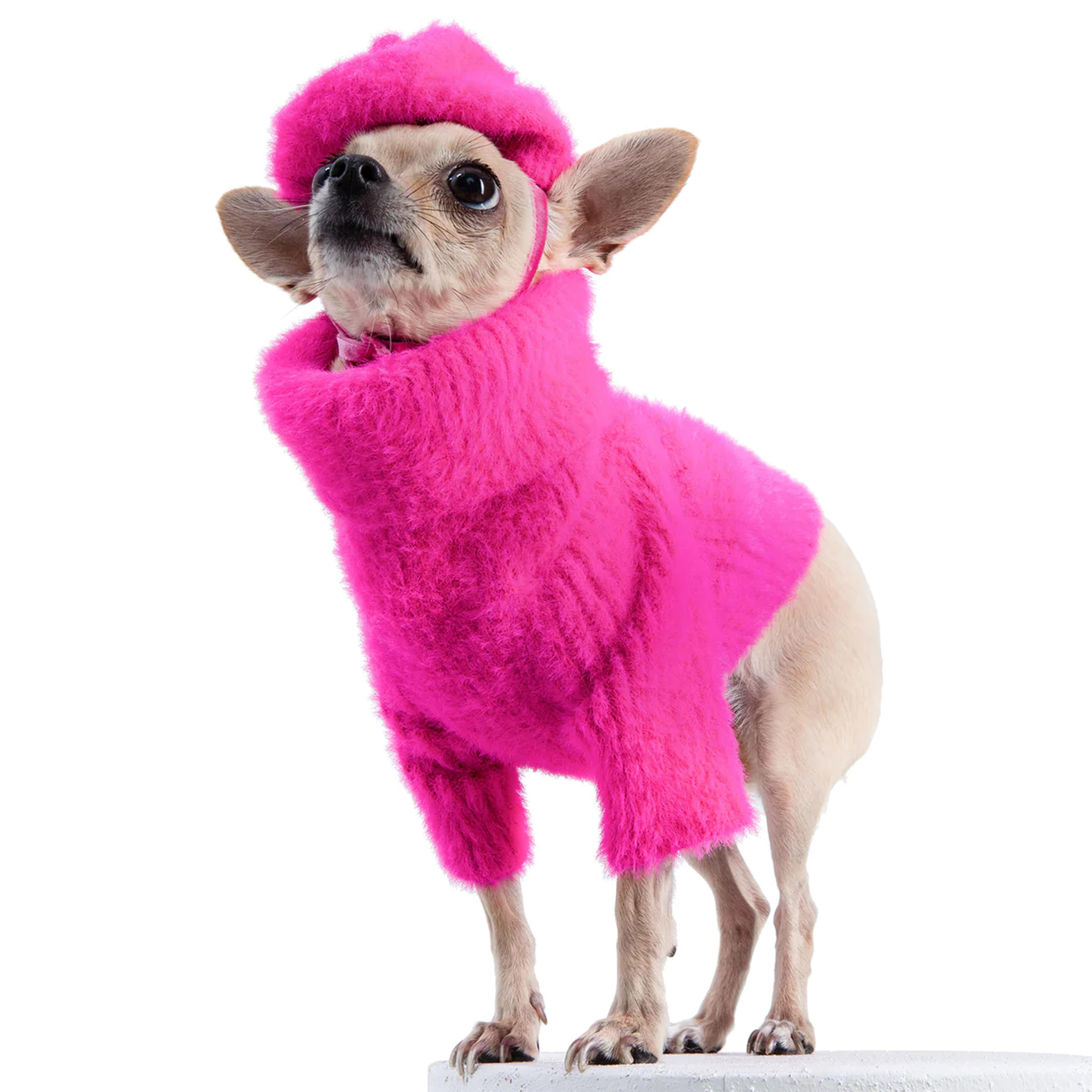 Loves It Dog Sweater & Hat– Moshiqa Store