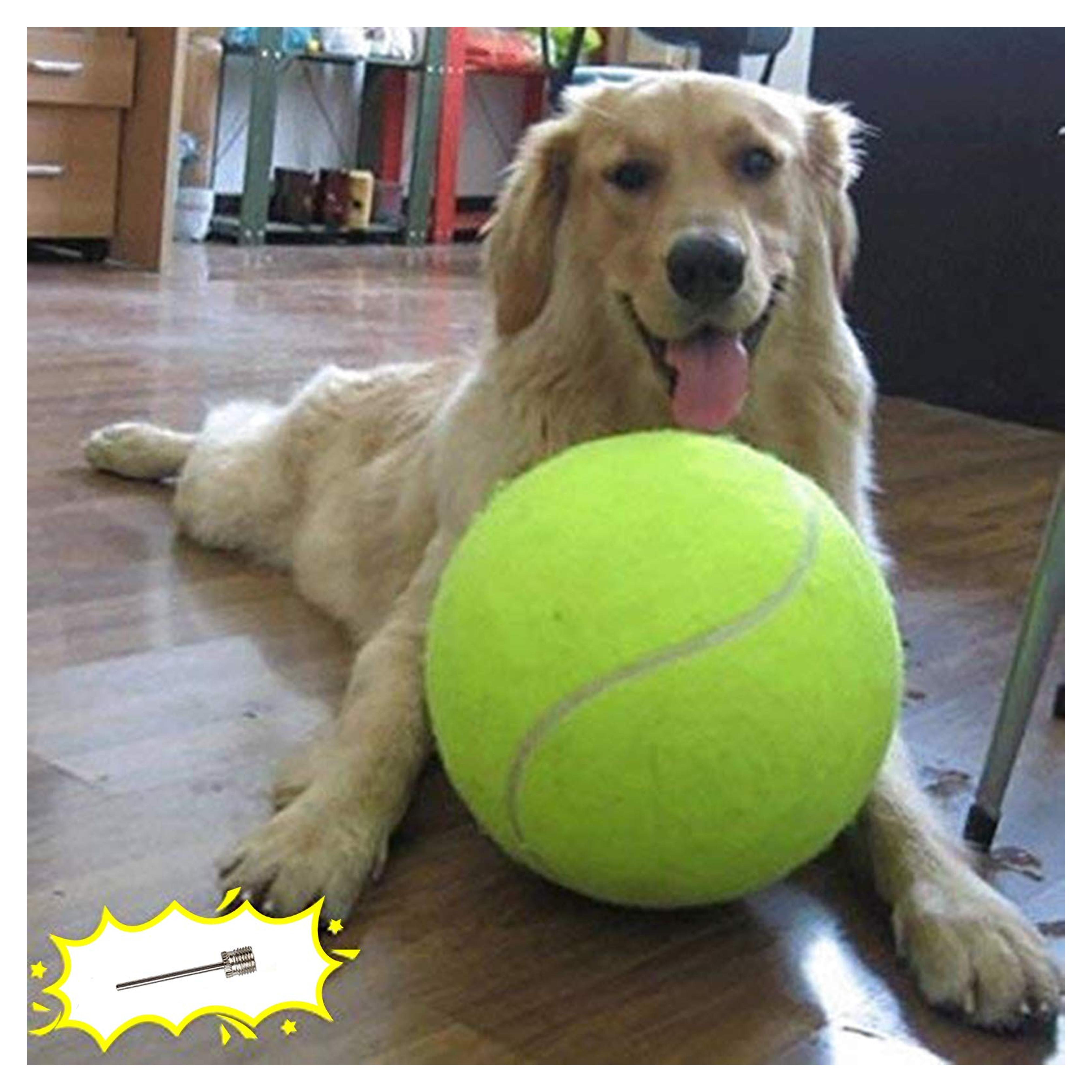 Banfeng Giant 9.5" Dog Tennis Ball Large Pet Toys Funny Outdoor Sports Dog Ball Gift with Inflating Needles