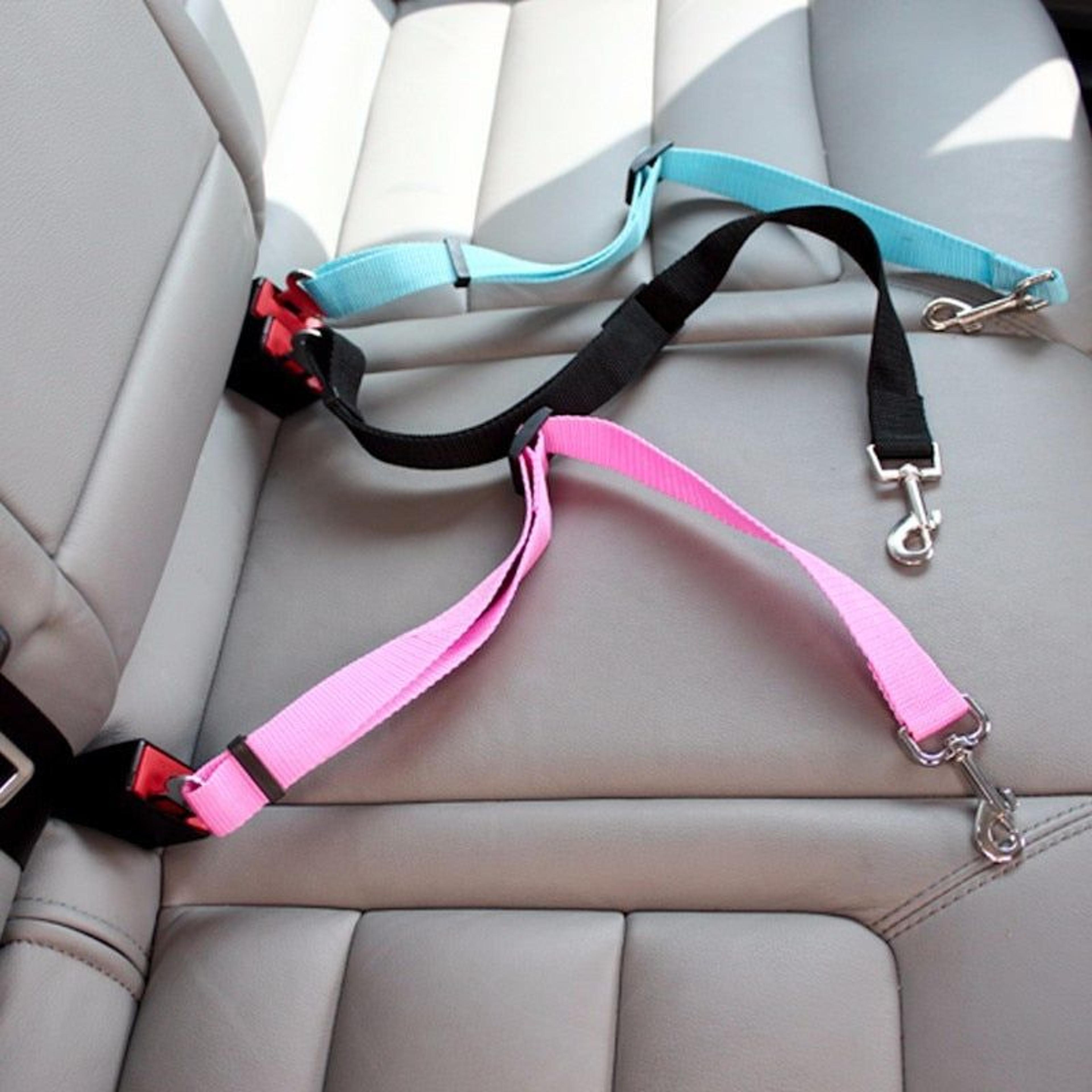 Cat Car Seat Belt Dog Accessories Adjustable Harness Lead Leash Small Medium Travel Clip Puppy Collar Leash Pet Items Dog Harnes - Orange / China