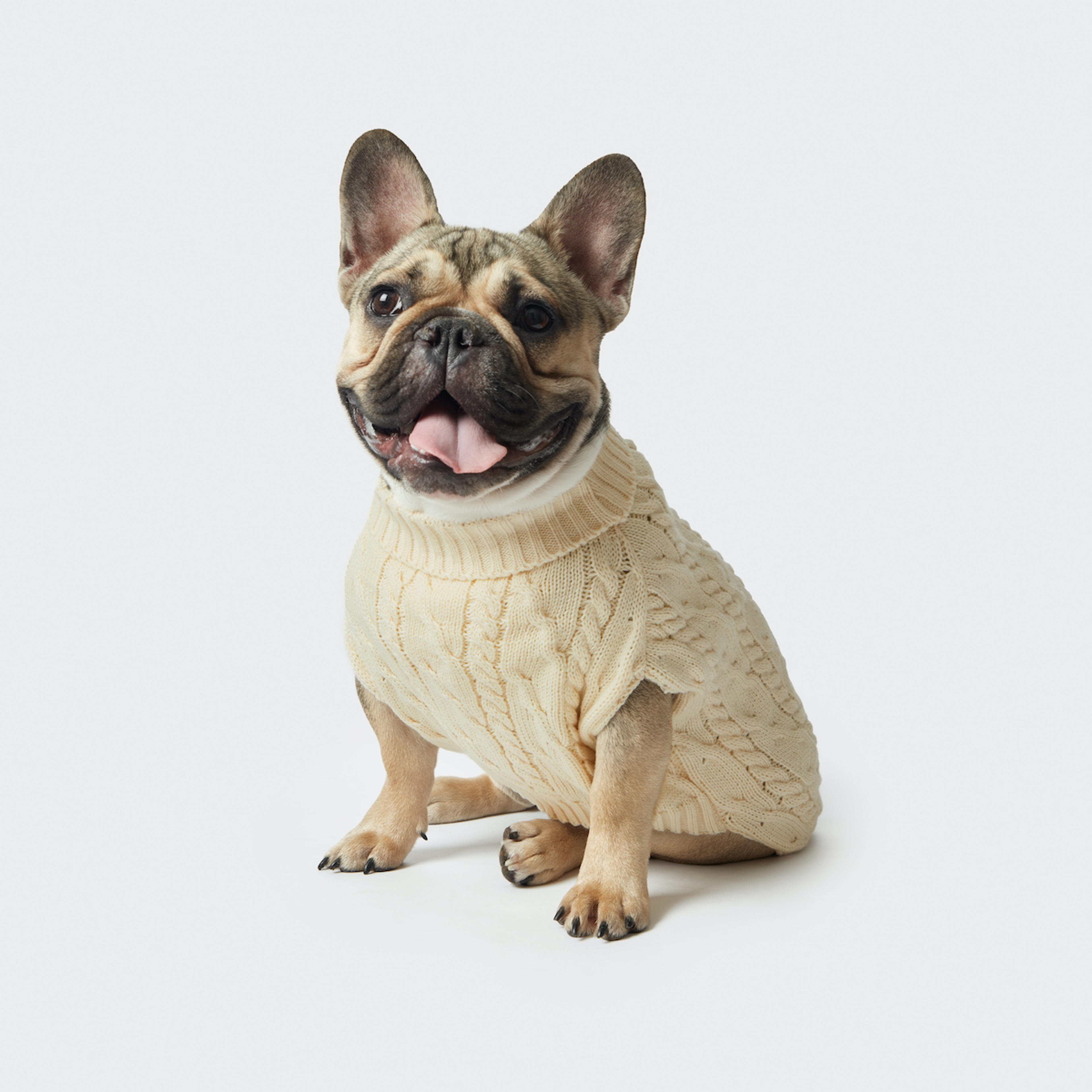 Shinola Pet: cable Knit Sweater Ivory | Shinola® Detroit