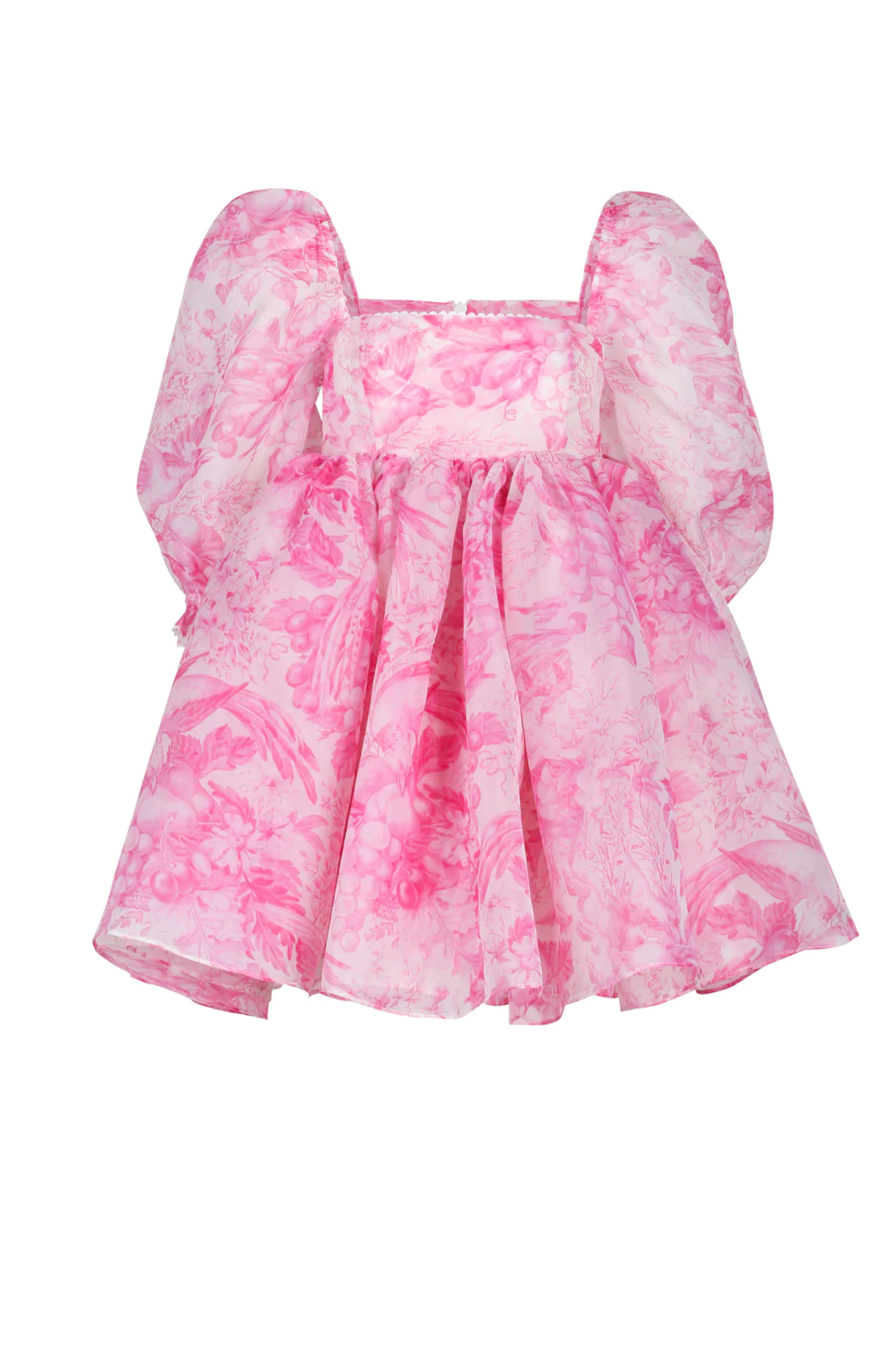 The Babydoll Toile Lace Puff Dress