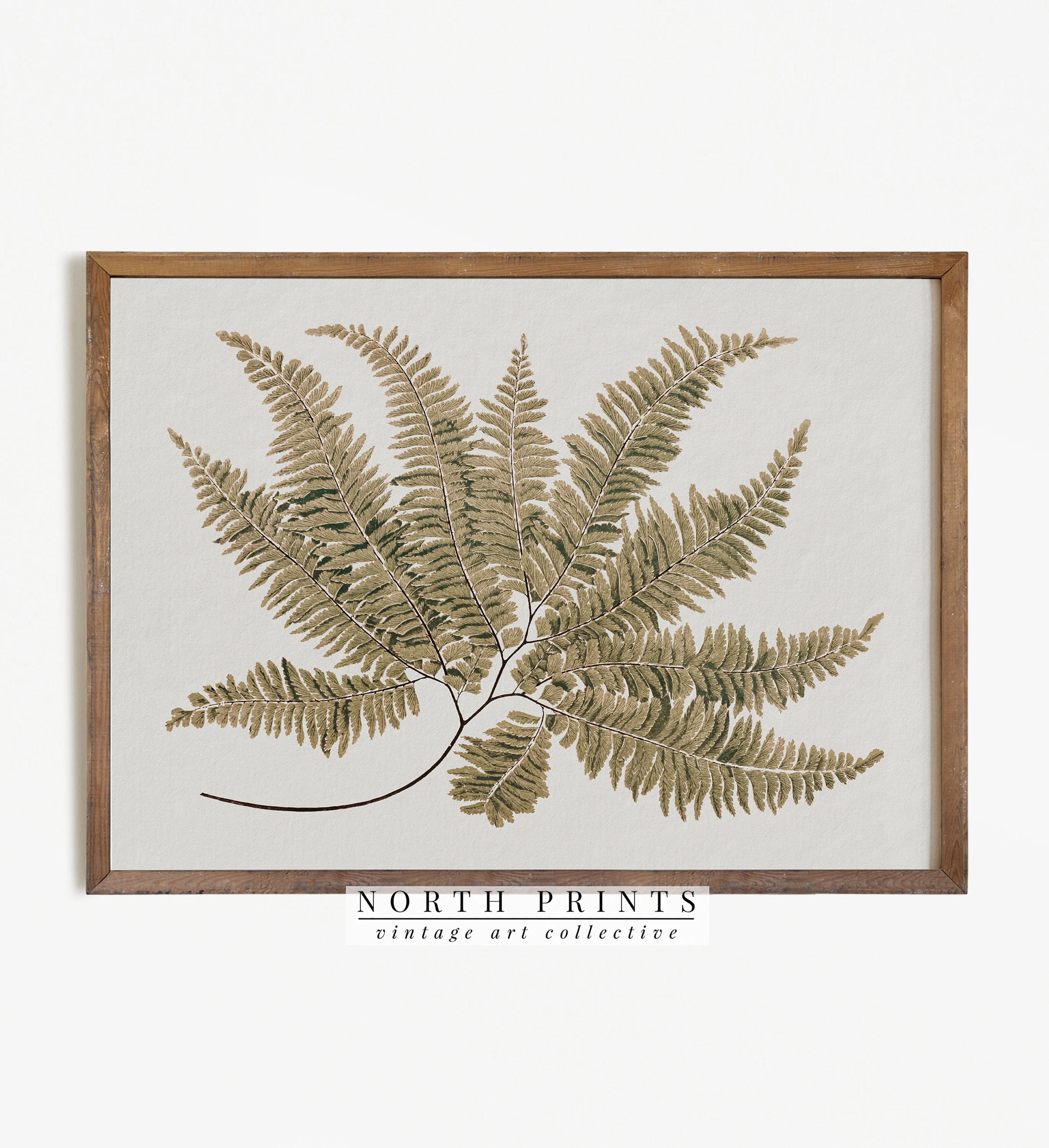 Antique Botanical Painting Vintage Fern Print Country - Etsy