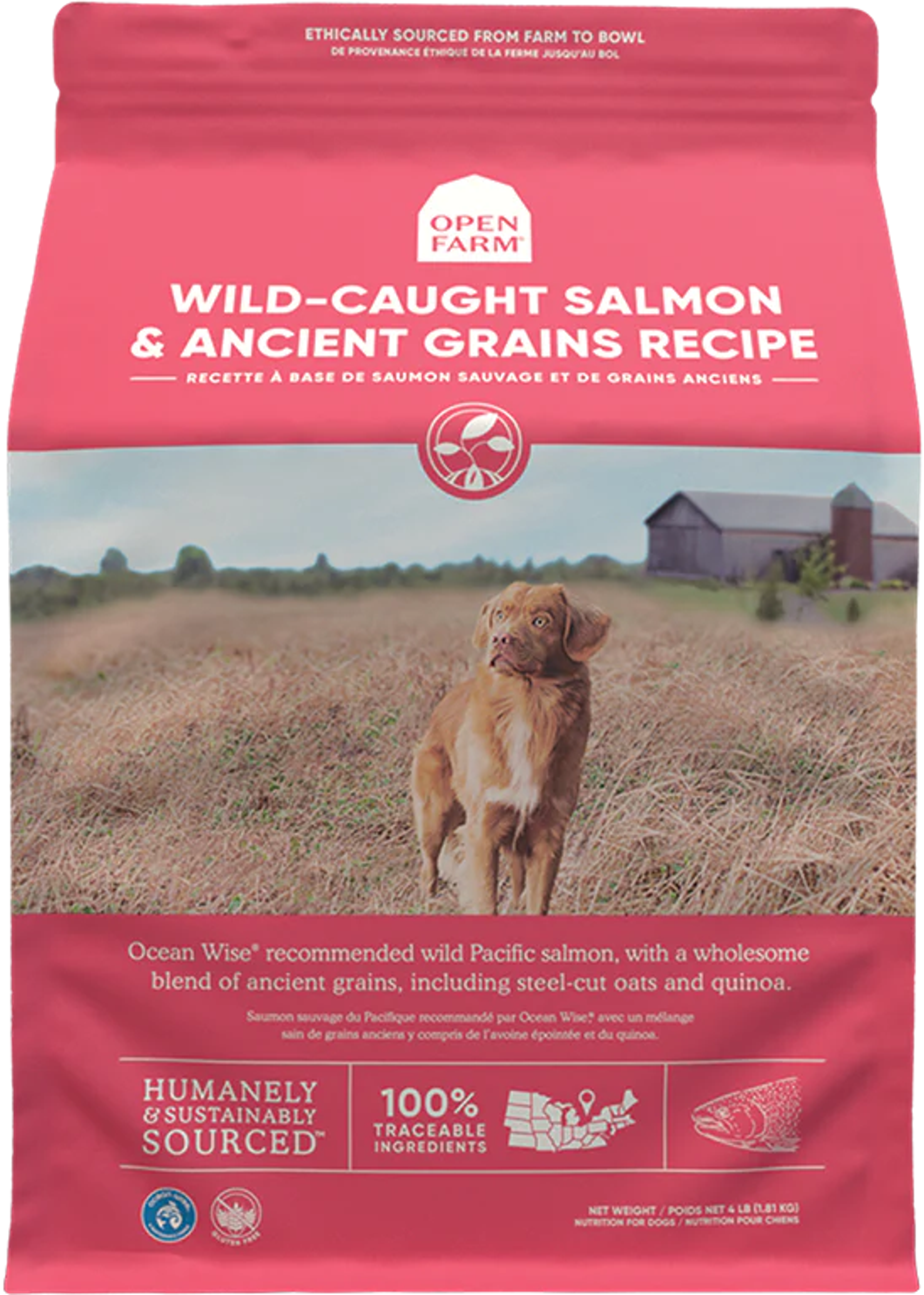 Wild-Caught Salmon & Ancient Grains Dry Dog Food | Open Farm