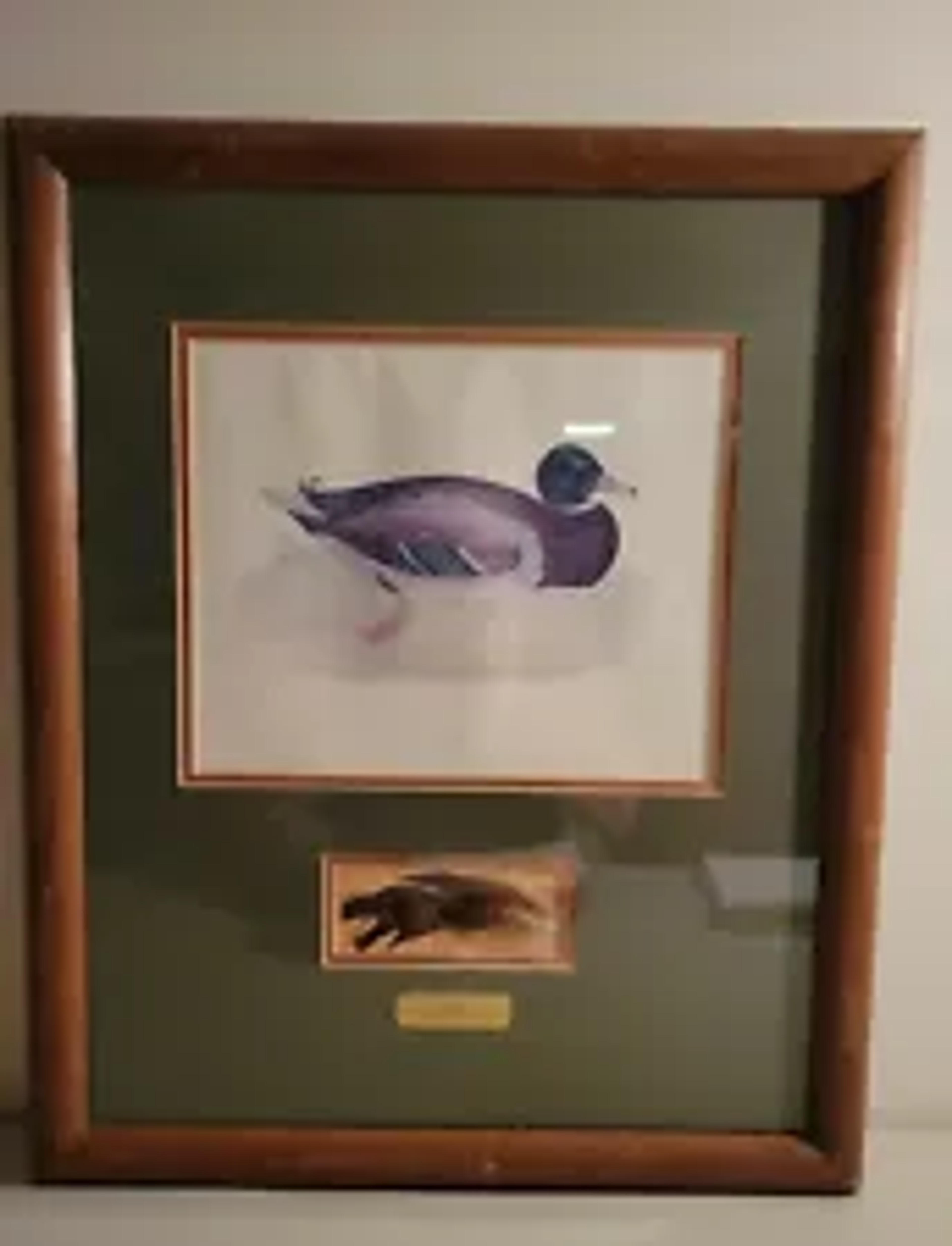 Vintage Mallard Duck Painting | eBay