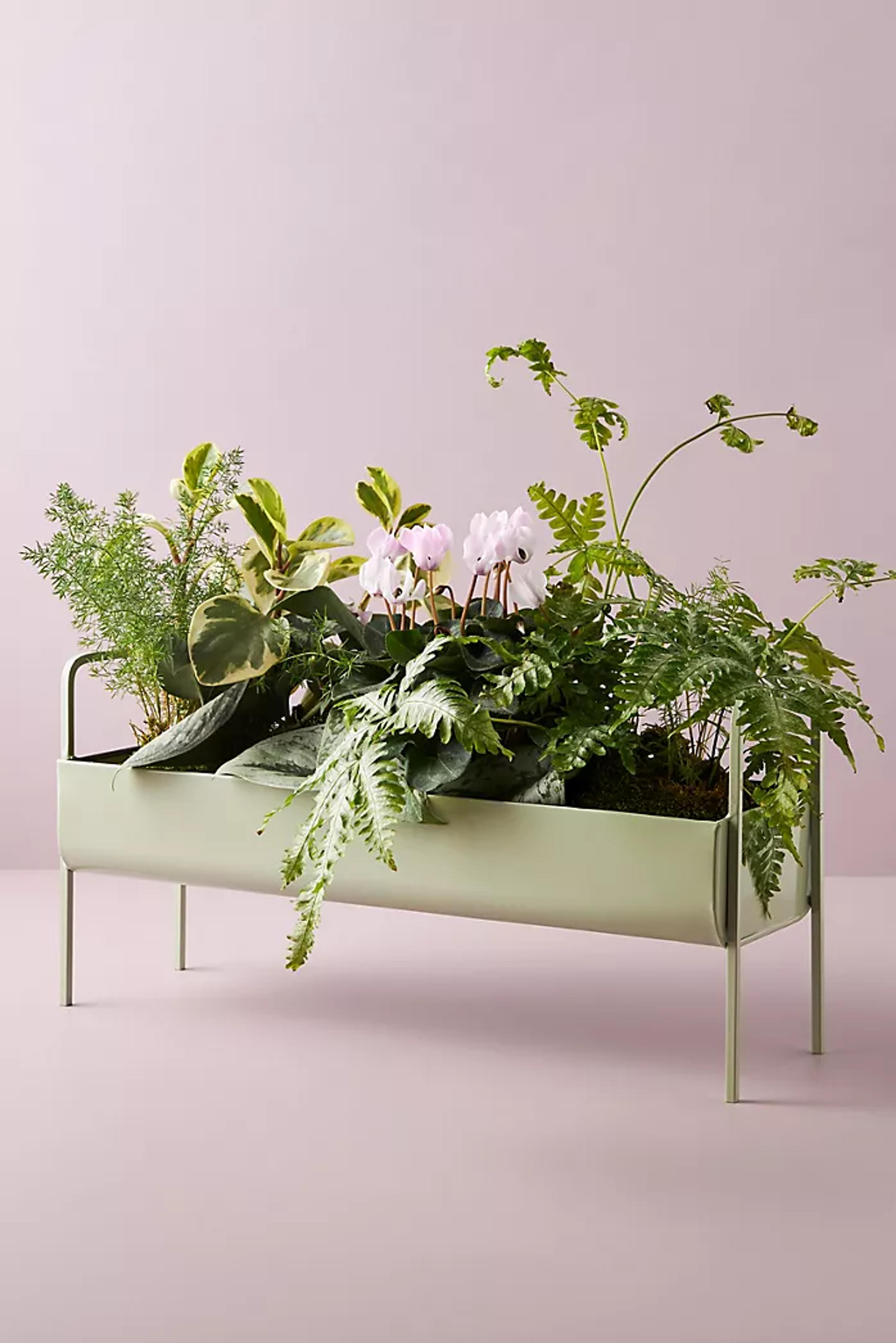 Minty Trough Planter