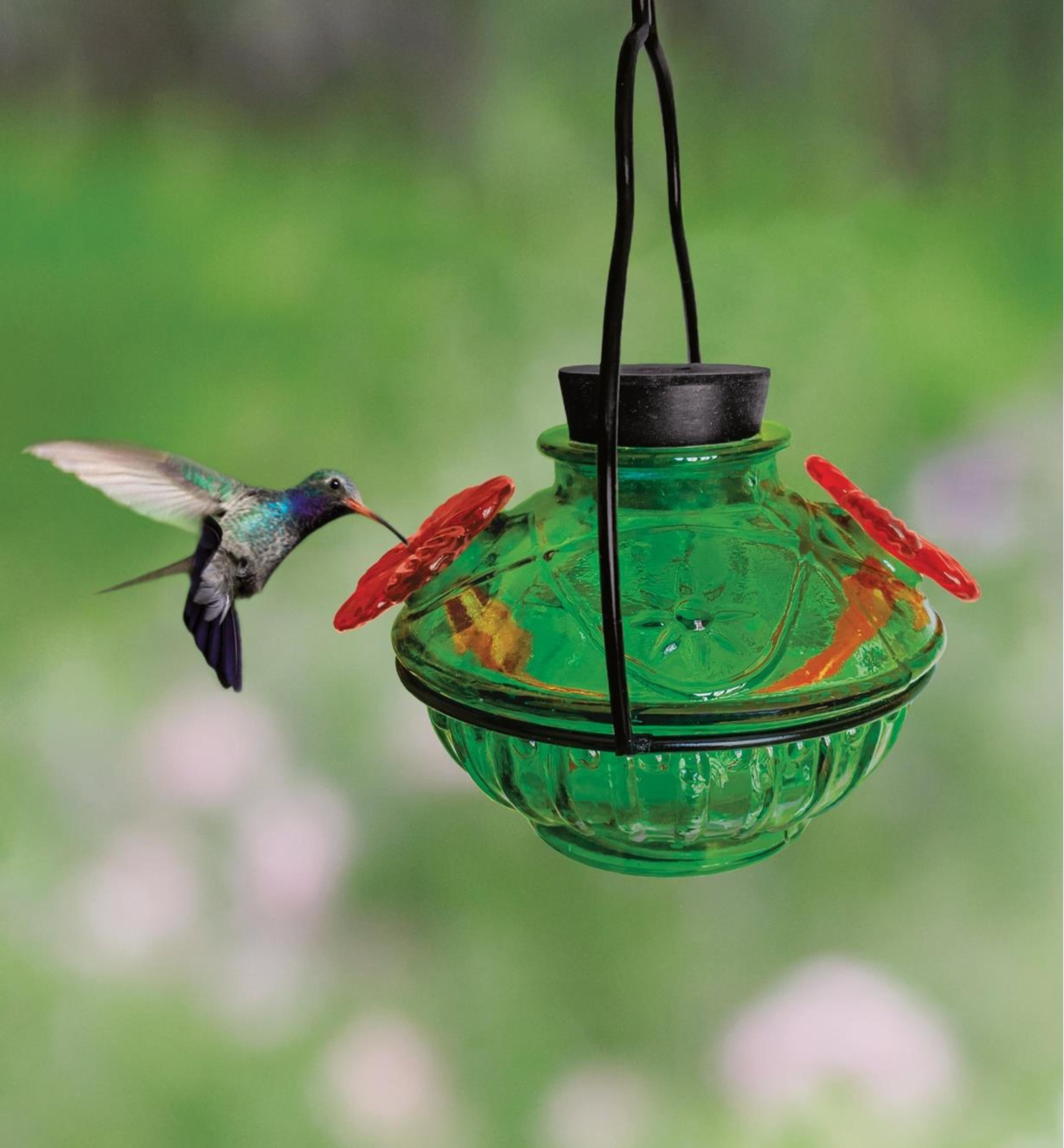 Glass Hummingbird Feeder