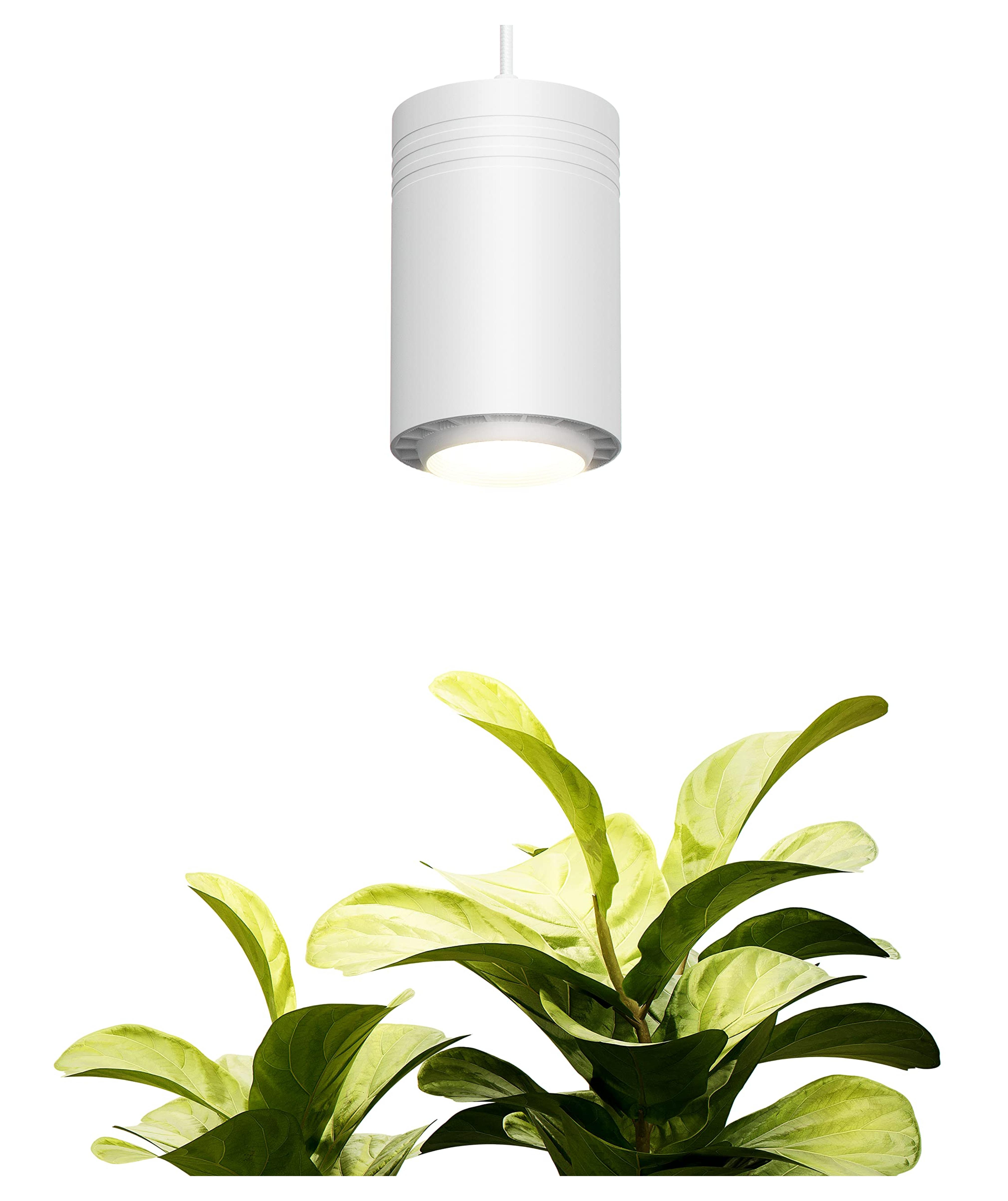 Amazon.com : Aspect Large White Luxury LED Grow Light – for Medium and Large Plants : Patio, Lawn & Garden