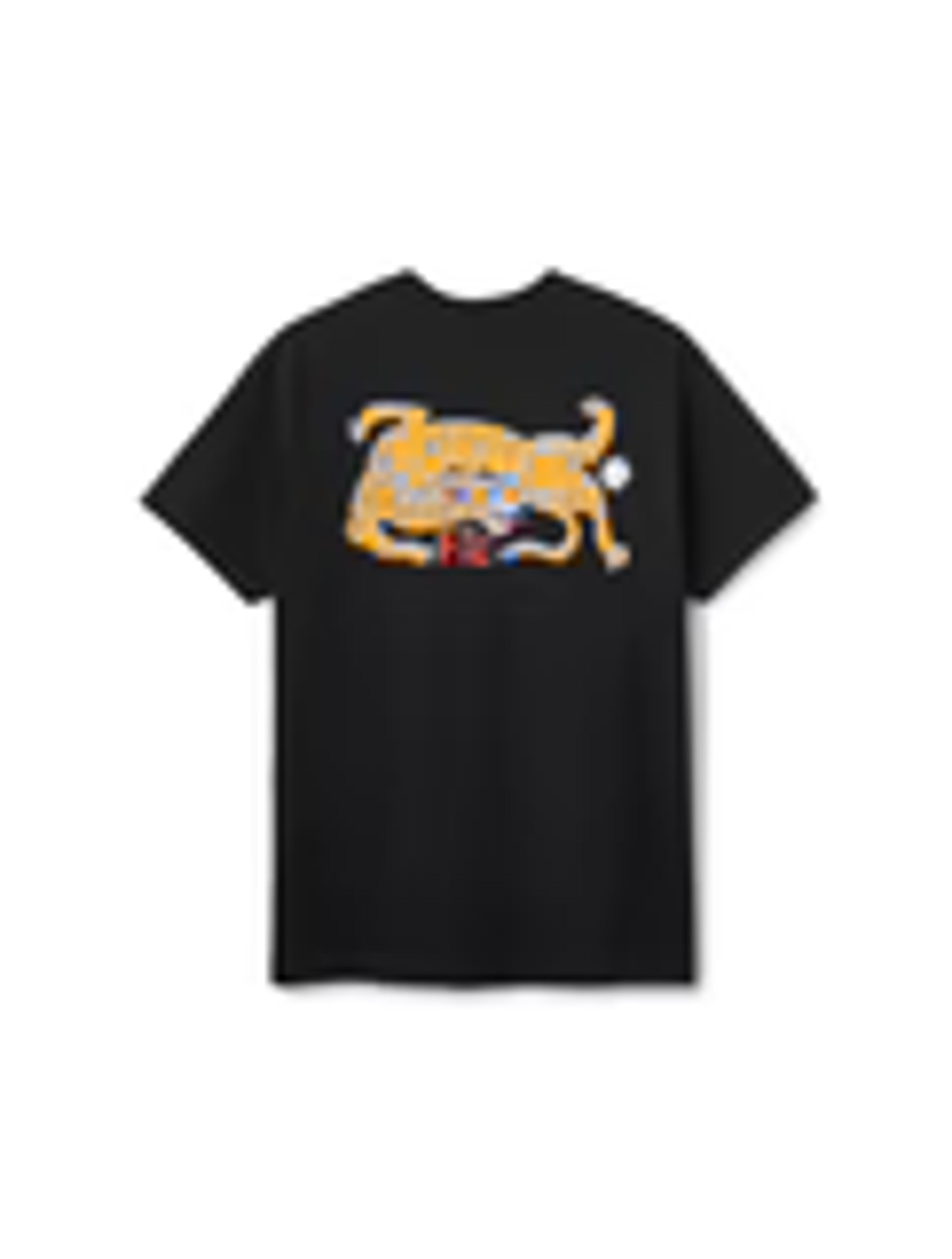 FTC SKATEBOARDING — FERRIS PLOCK TIGER TEE