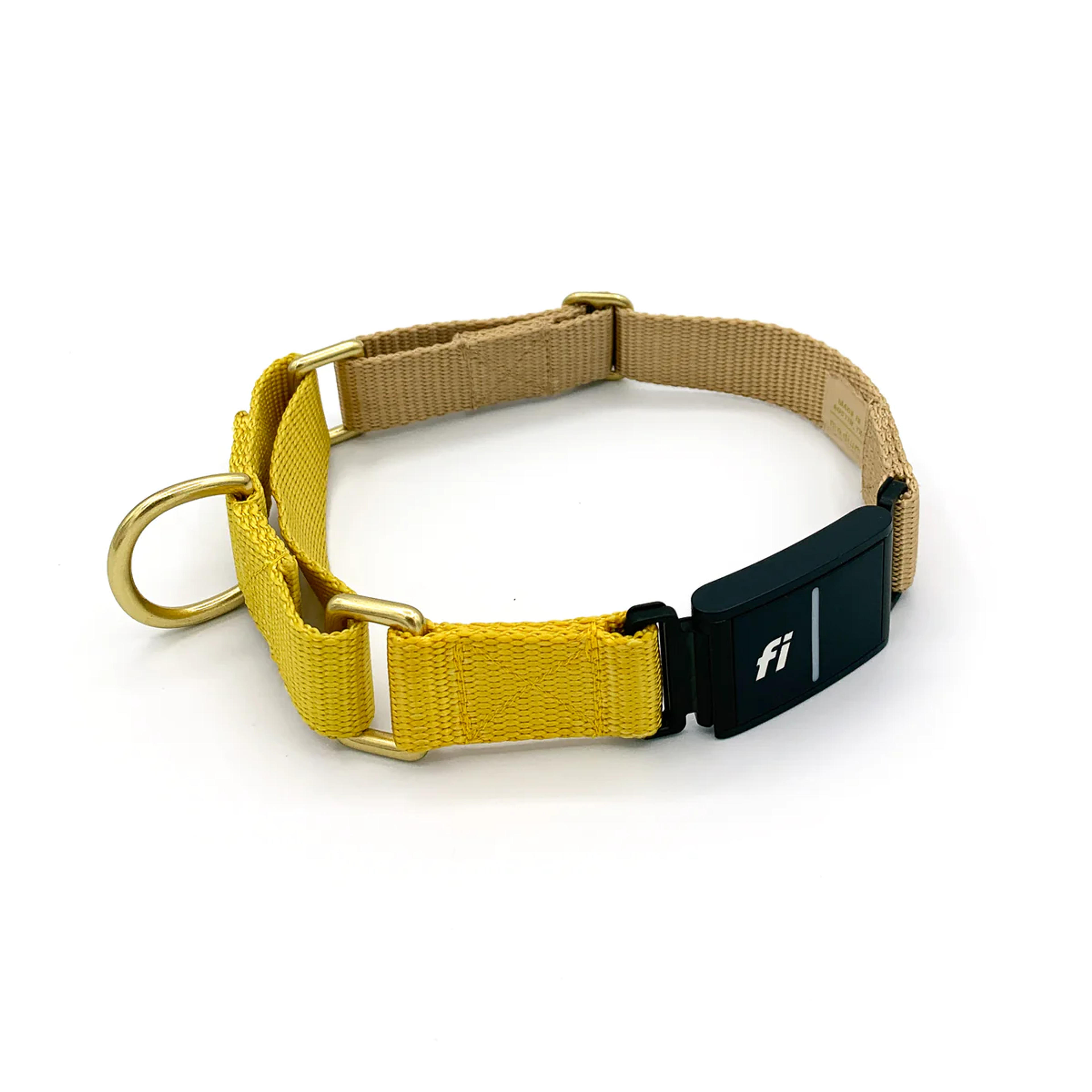 SERIES 3 / Fi compatible martingale collar / custom colors