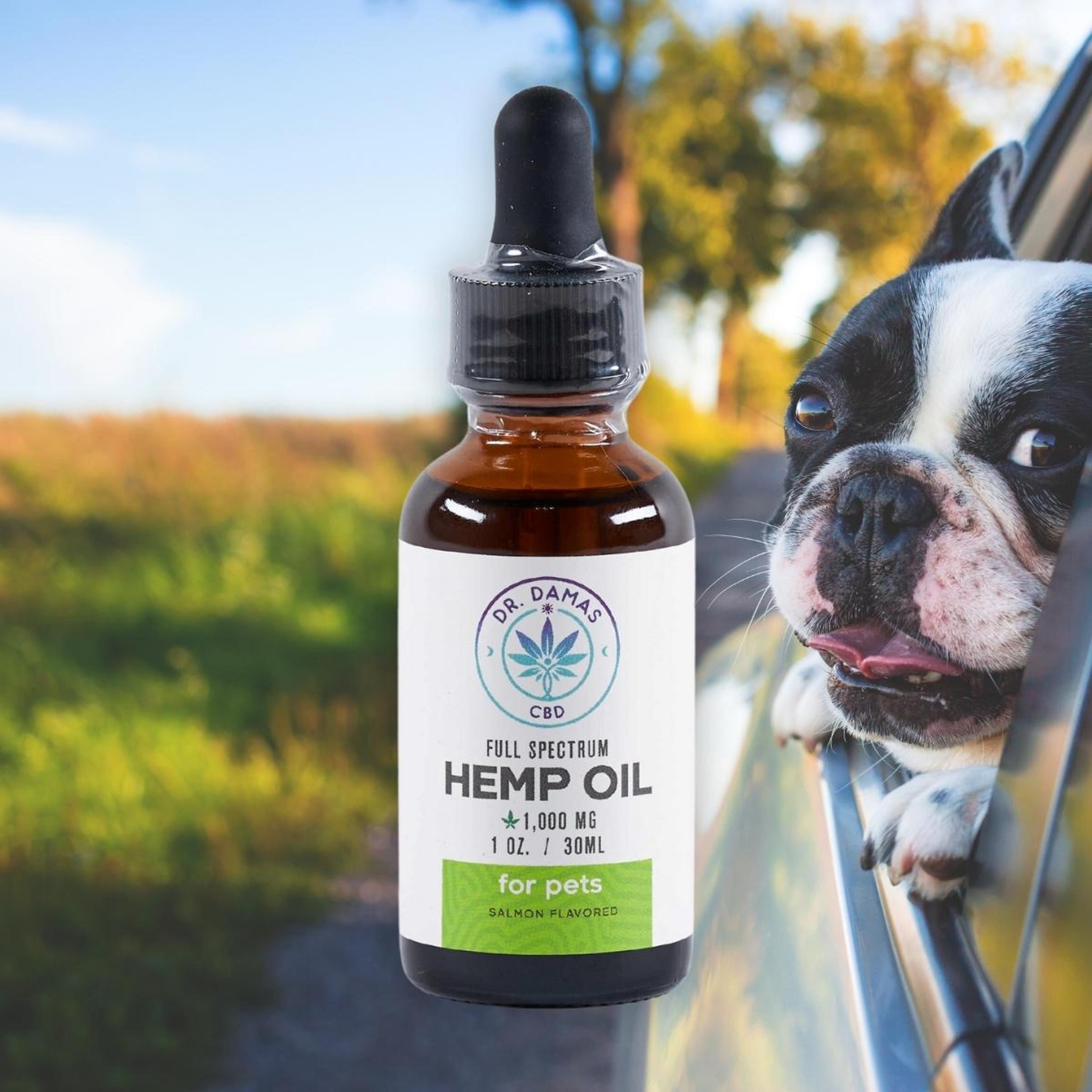 CBD Oil for Pets