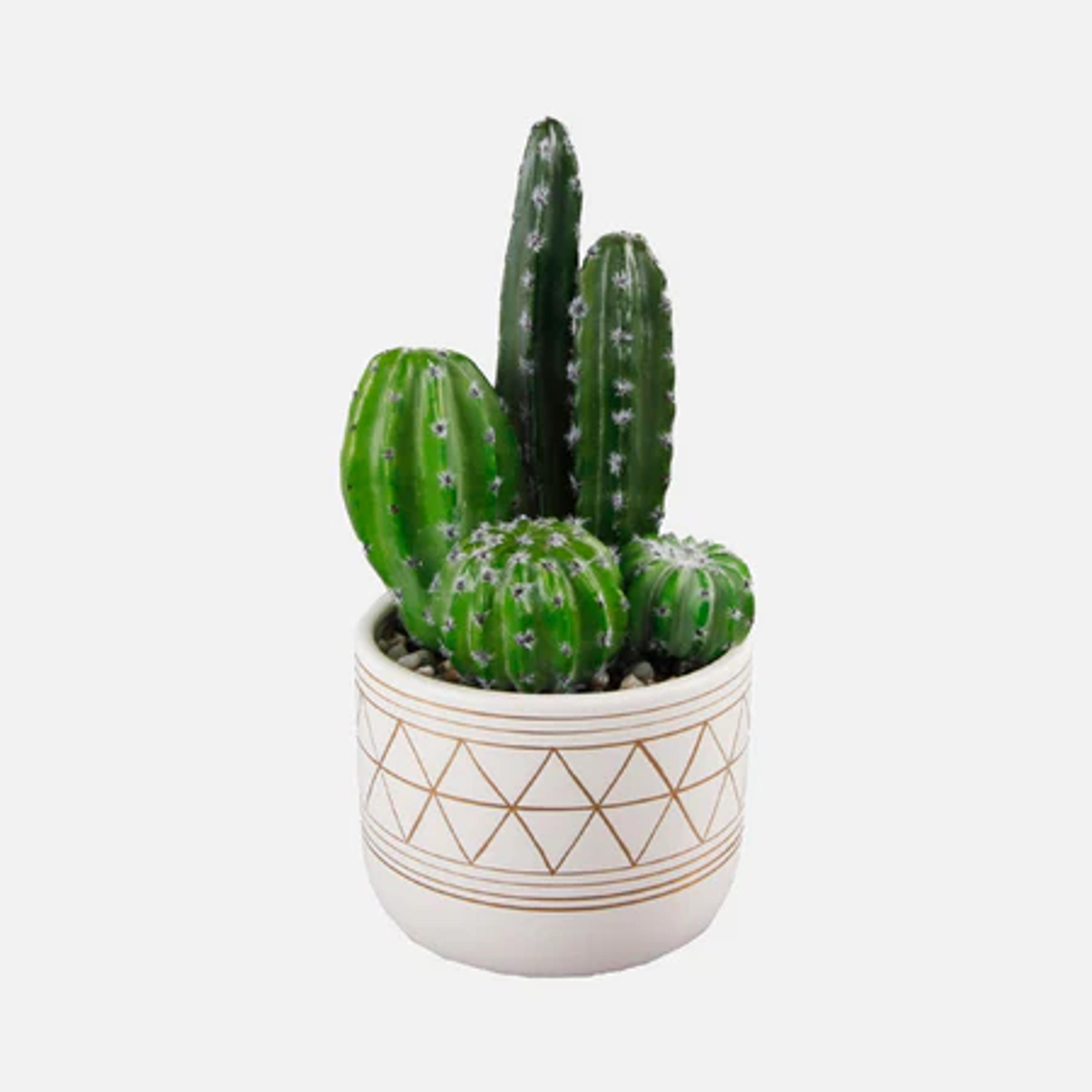 Faux Cactus Plant