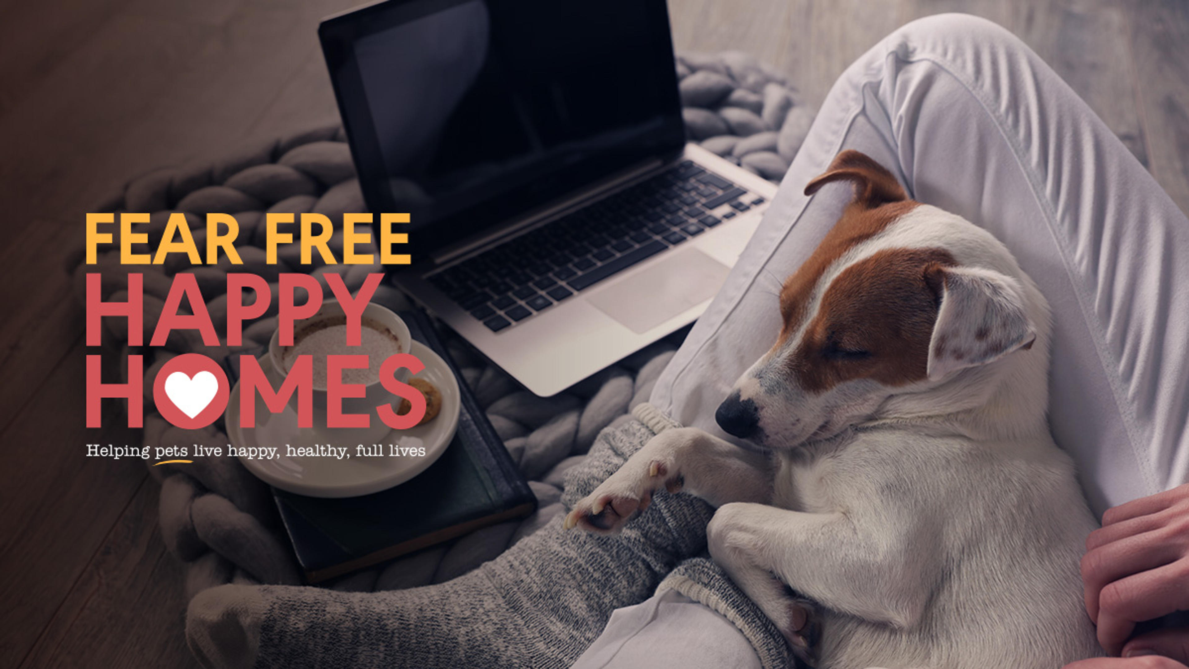 Fear Free Happy Homes for Pets