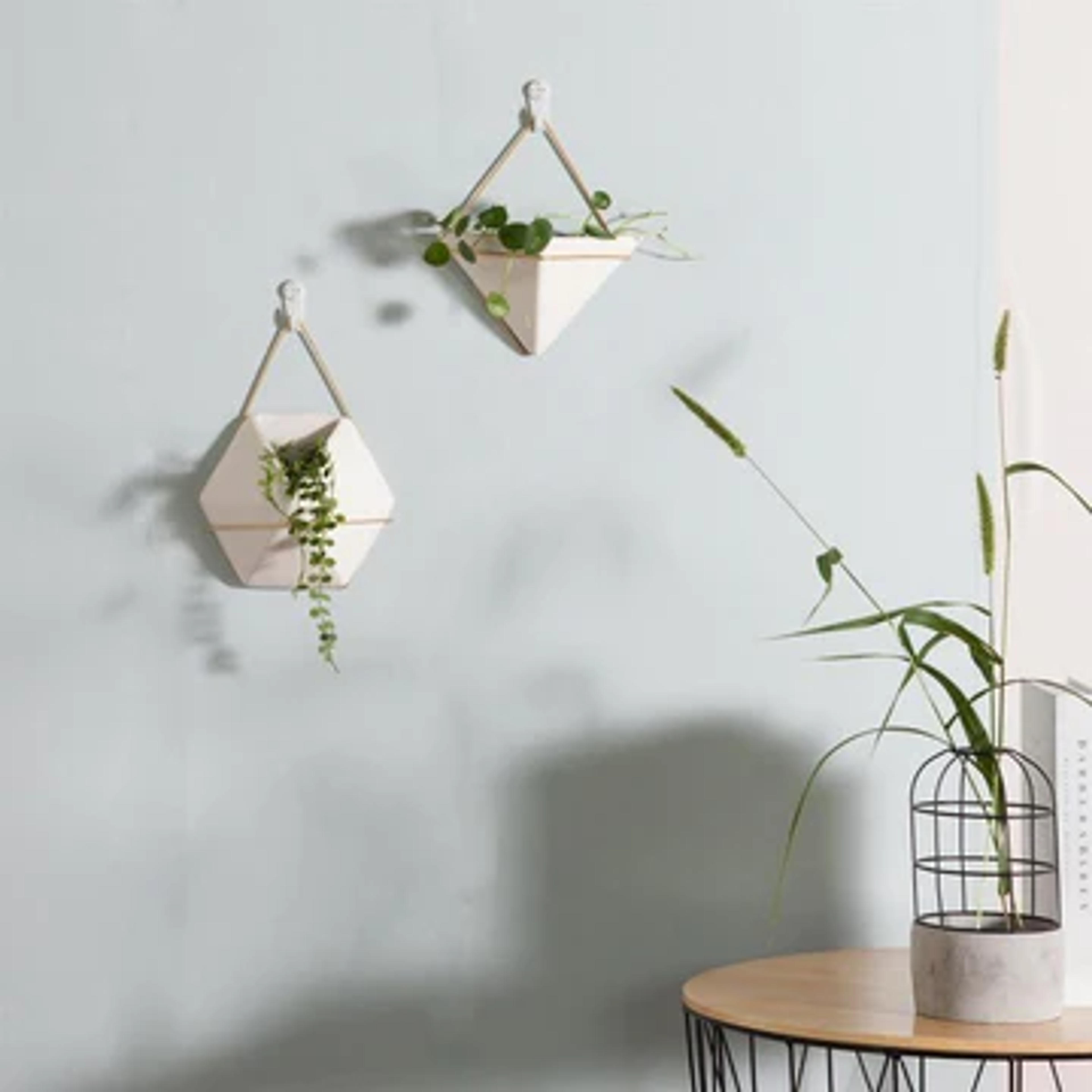 Geometric Hanging Terrarium – bloomlyn