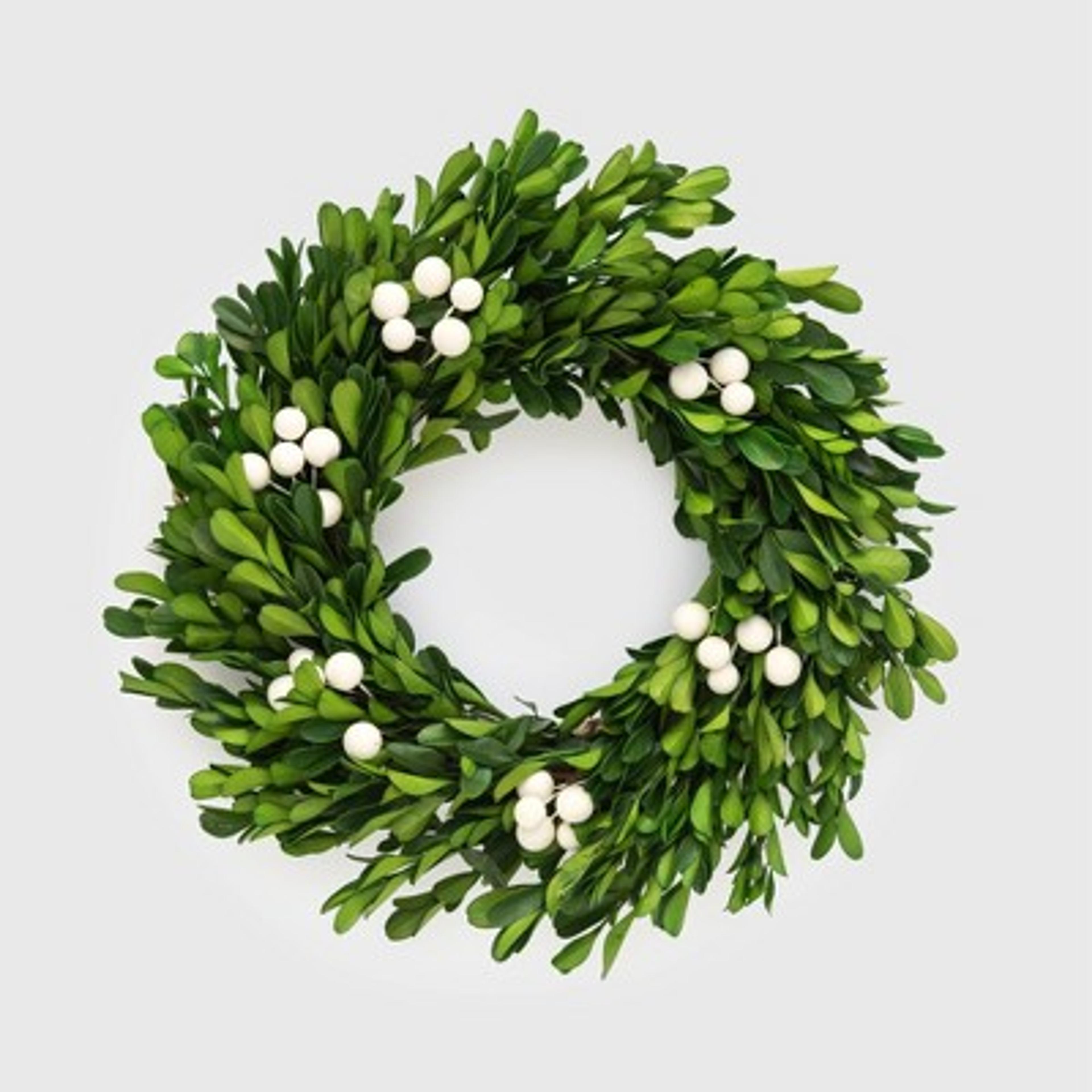 10.5" Preserved Boxwood Wreath - Sugar Paper™ + Target