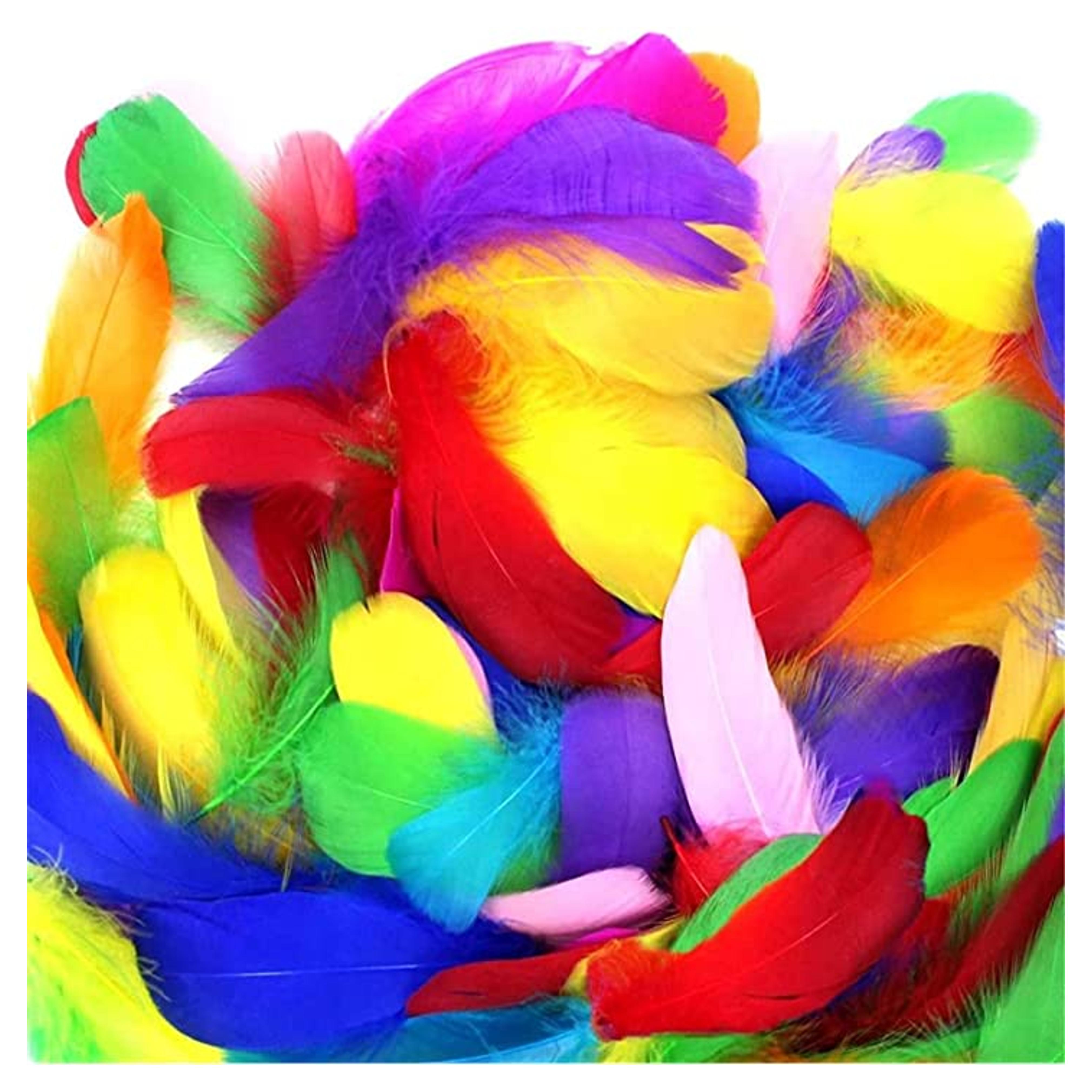 Coceca 300pcs 3-5 Inches Colorful Feathers for DIY Craft Wedding Home Party Decorations