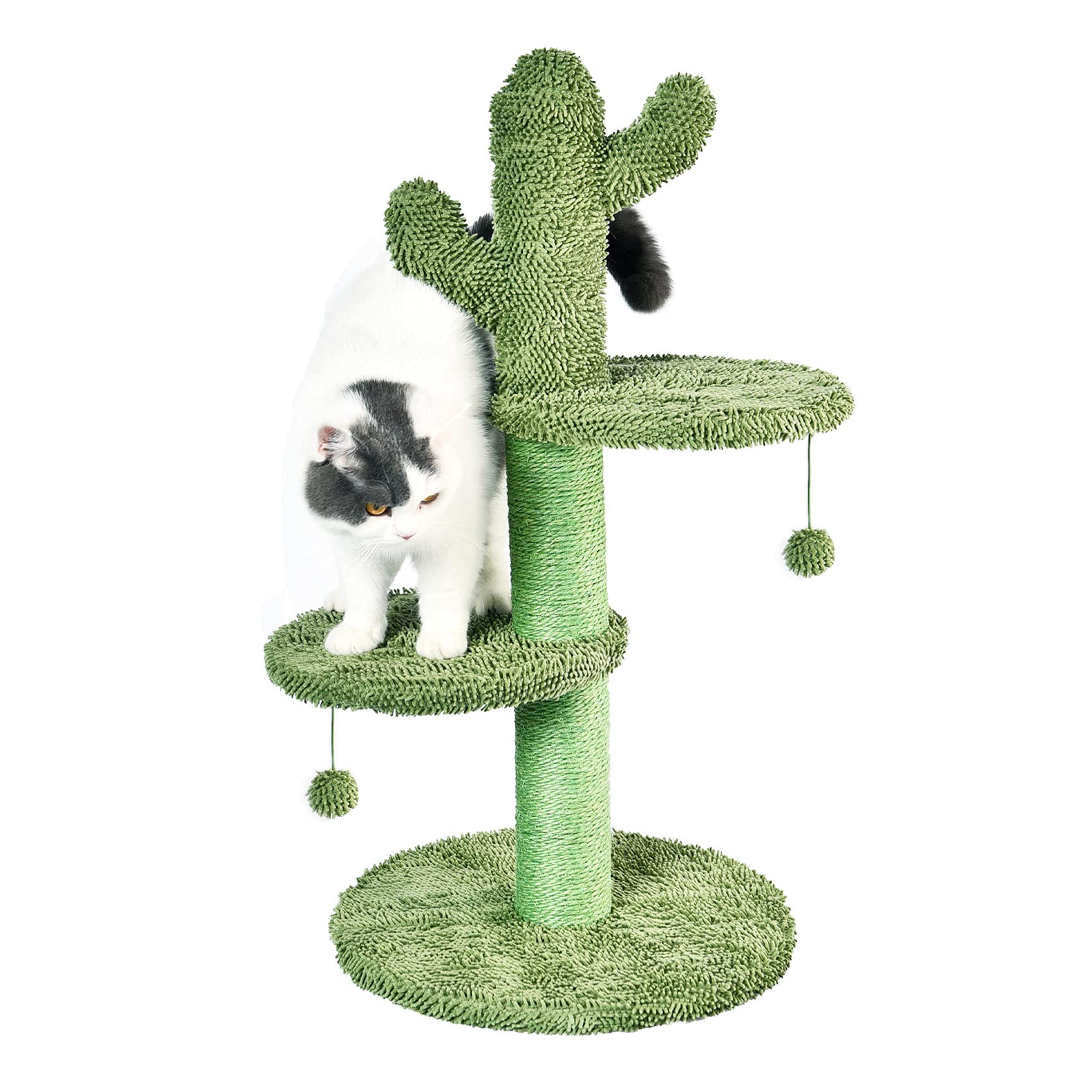 Amazon.com : BOLUO Cat Scratching Post for Large Cats Tree Catcus Tall Cat Scratcher Posts Toy Cute Kitten Kitty Sisal Rope Scratch with Teaser Ball Outdoor 31 Inch : Pet Supplies