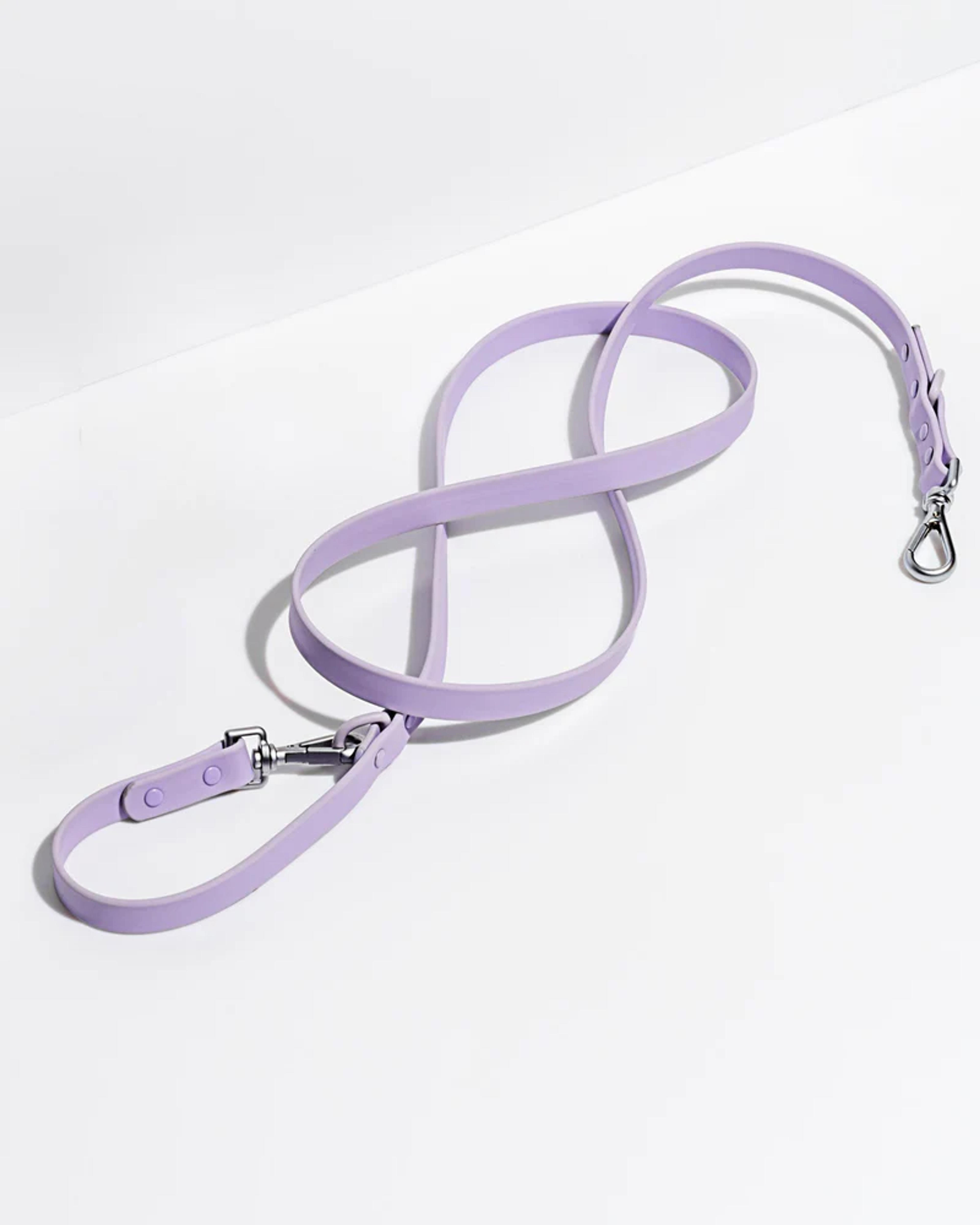 Leash - Lilac / Standard