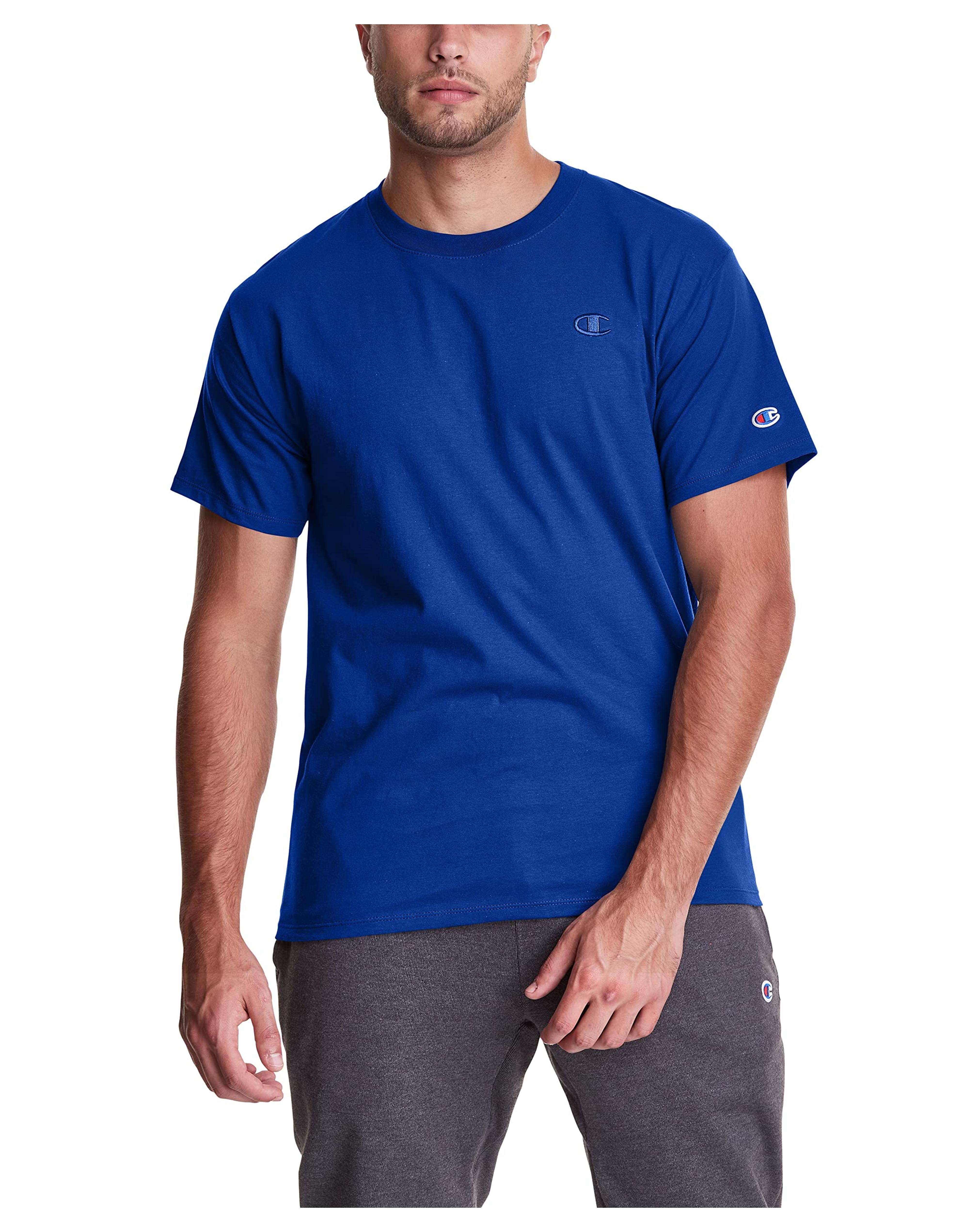 Amazon.com: Champion mens Classic Jersey Tee Shirt, Surf the Web, Medium US : Clothing, Shoes & Jewelry