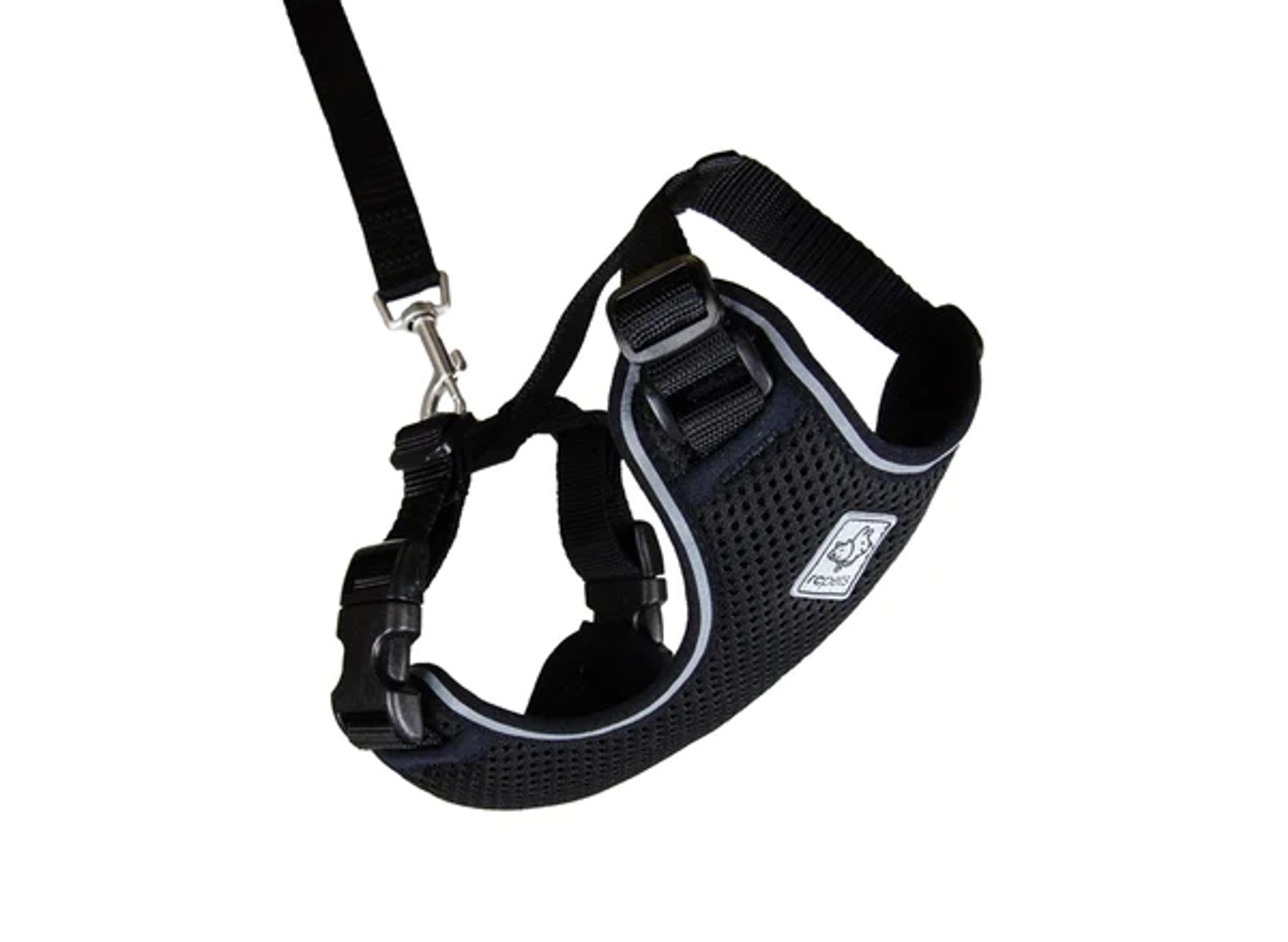 RC Pets Adventure Kitty Harness + Leash