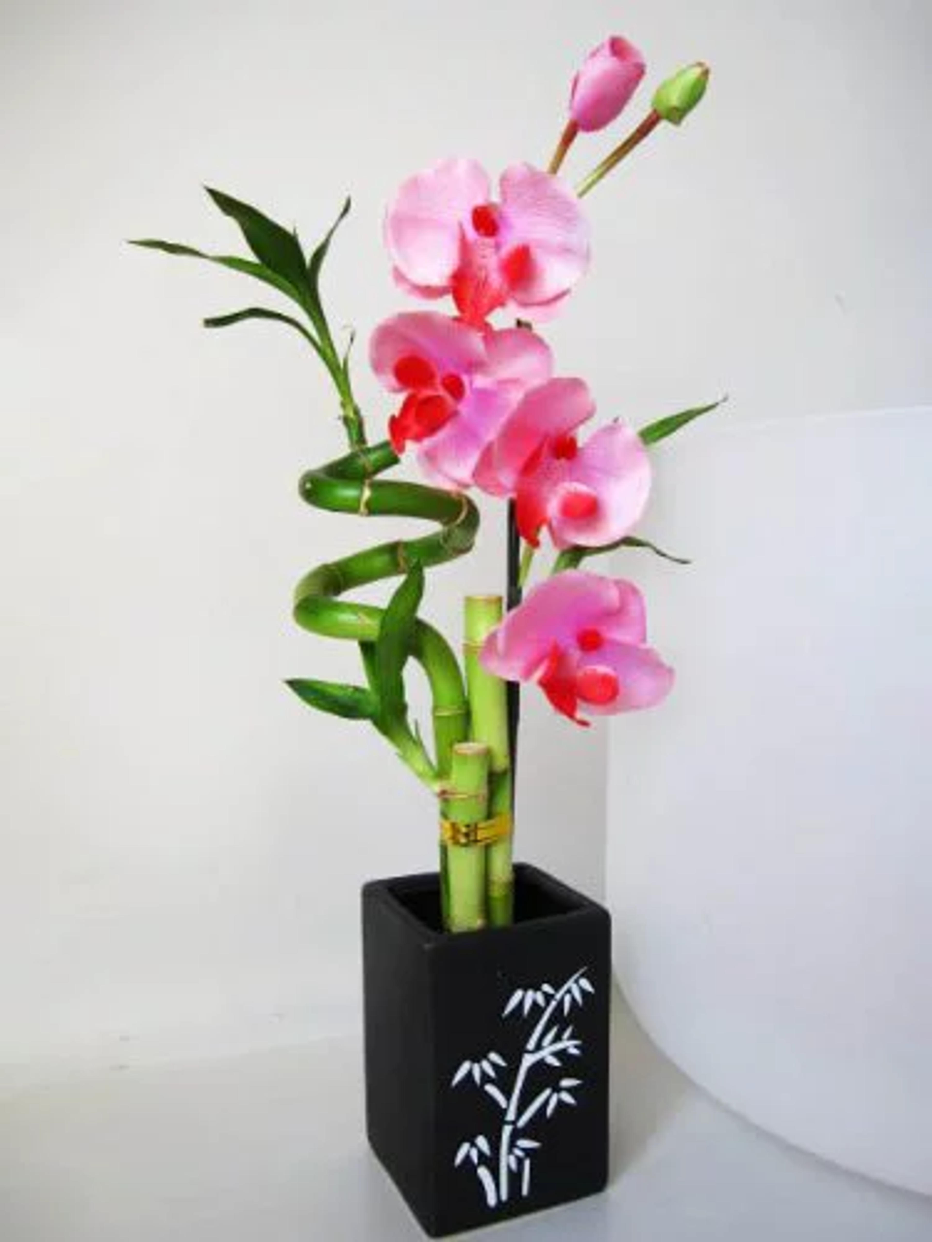 9GreenBox - Lucky Bamboo - Spiral Style with Artificial Flowers and Ceramic Vase - Walmart.com