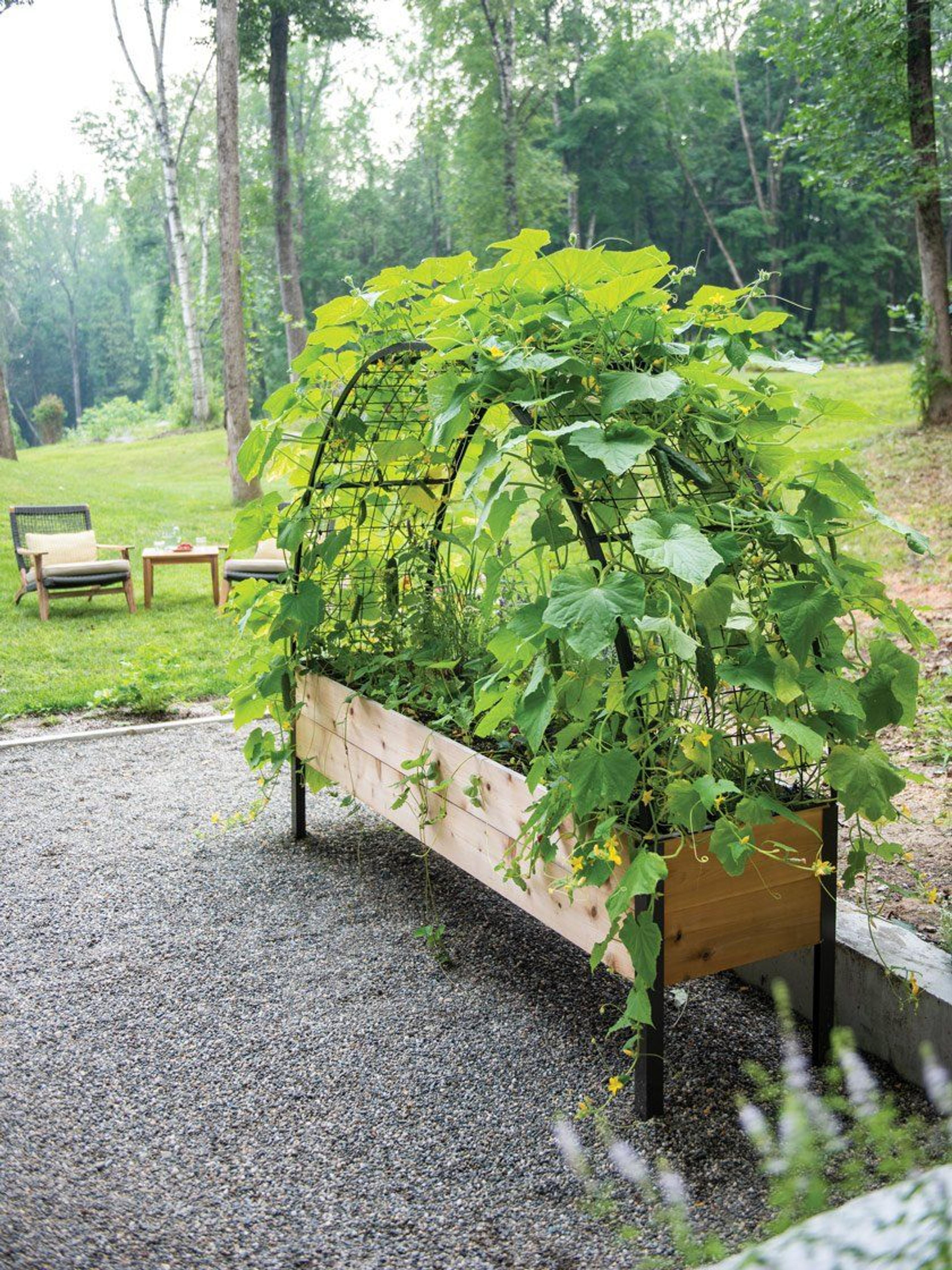 2’ x 8’ Arch Trellis for Planter Boxes