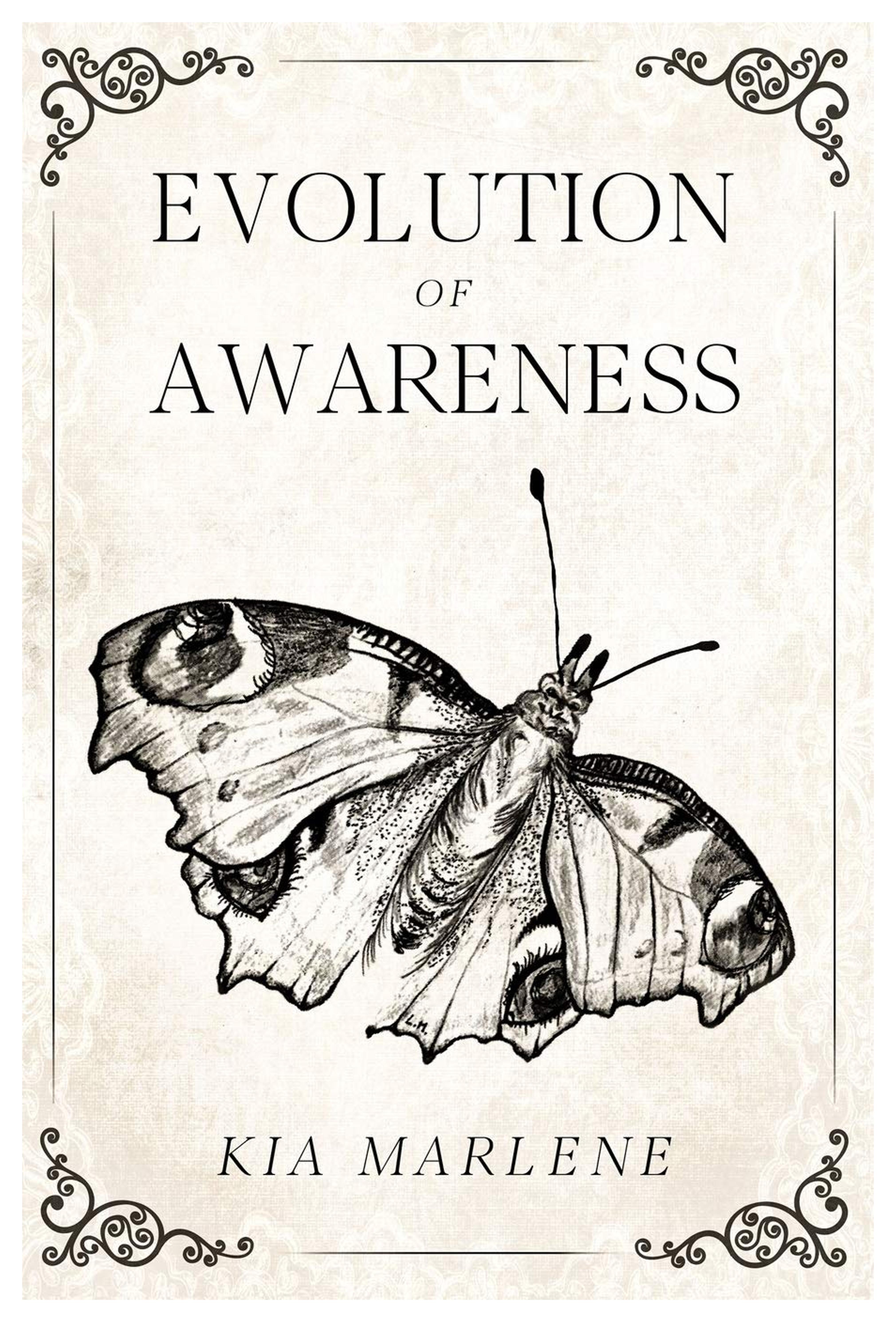 Evolution of Awareness