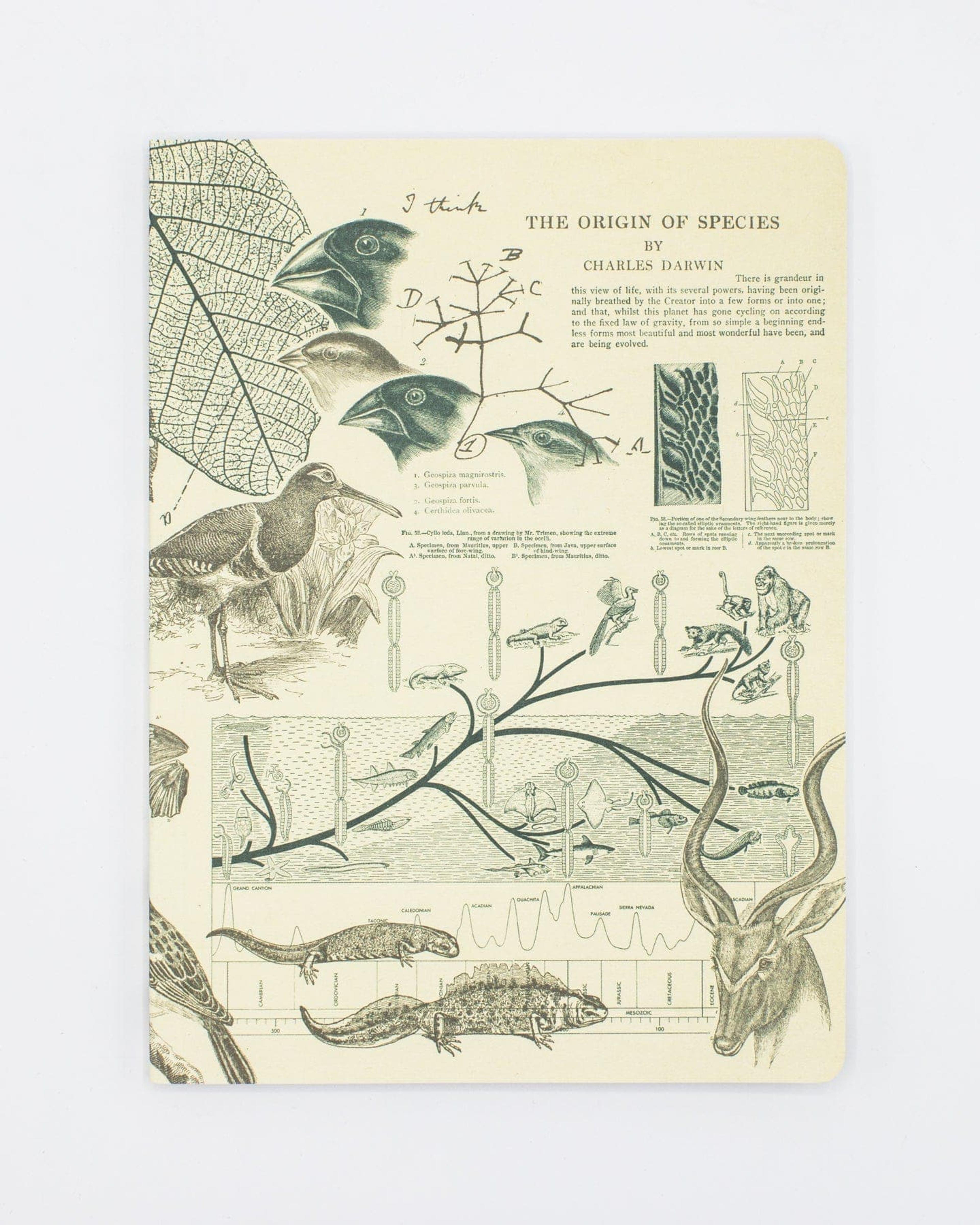 Evolution Softcover Notebook | Charles Darwin