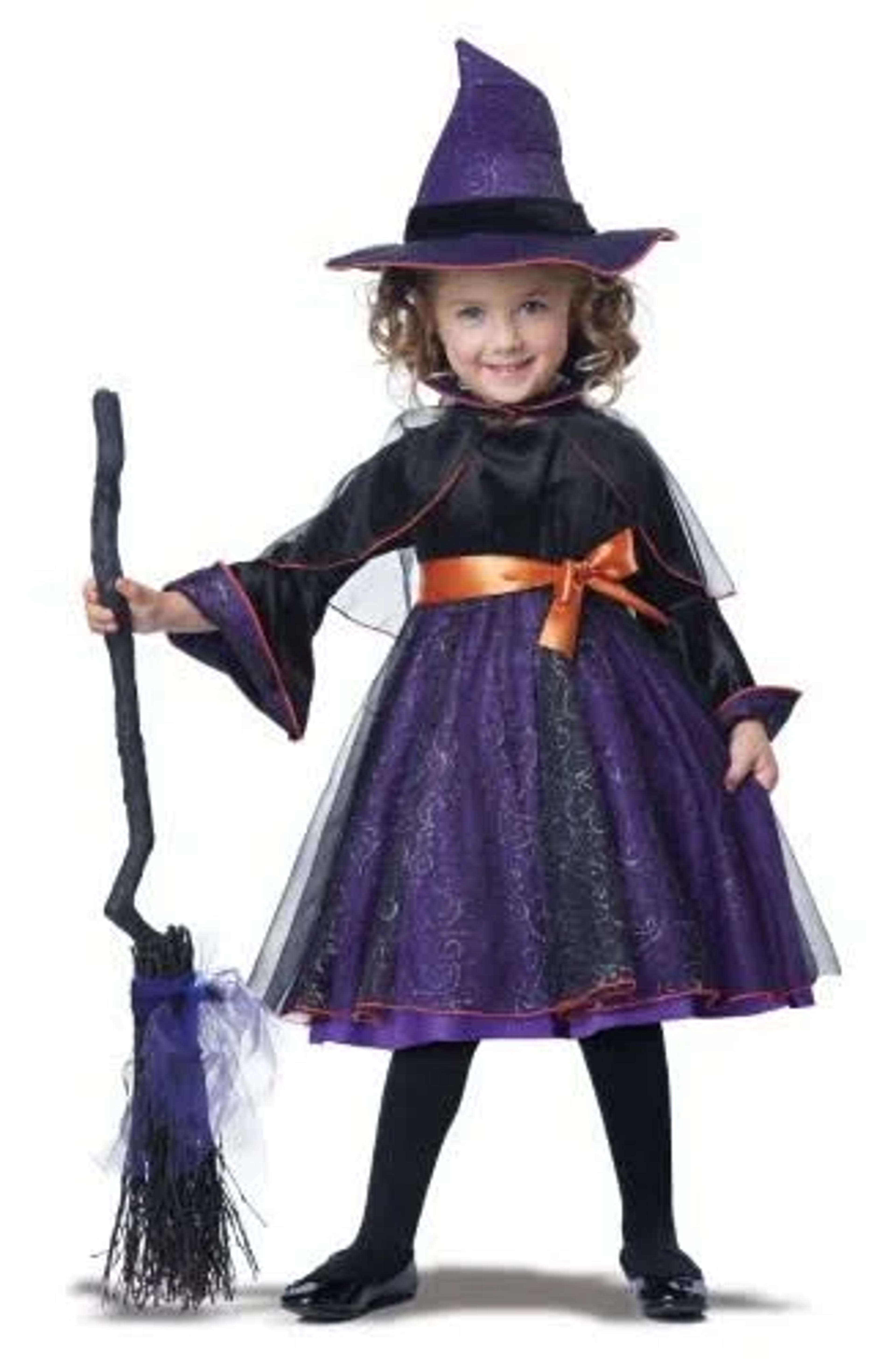 California Costumes Hocus Pocus Witch Toddler Costume, Purple, L | Google Shopping
