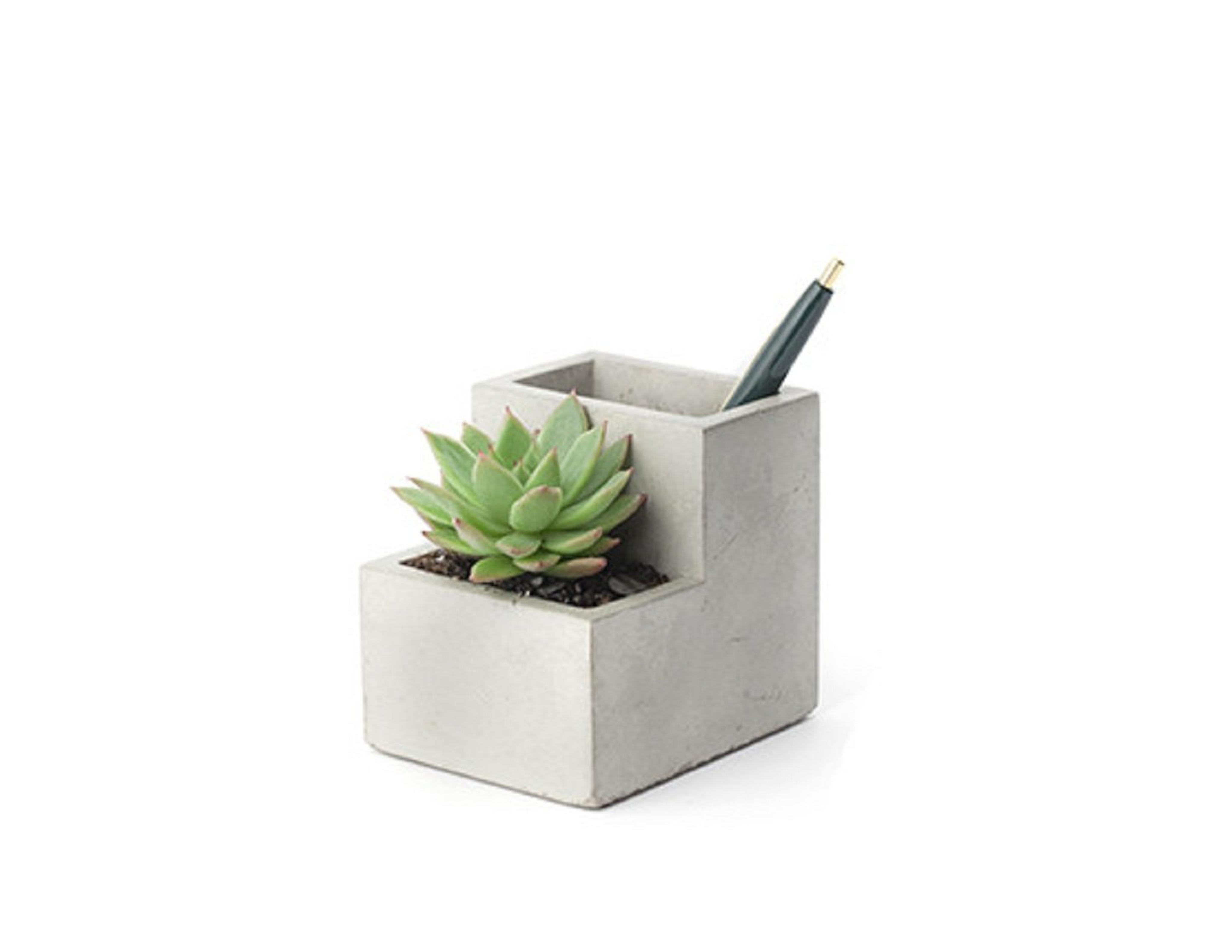 Kikkerland Concrete Desktop Planter, Small