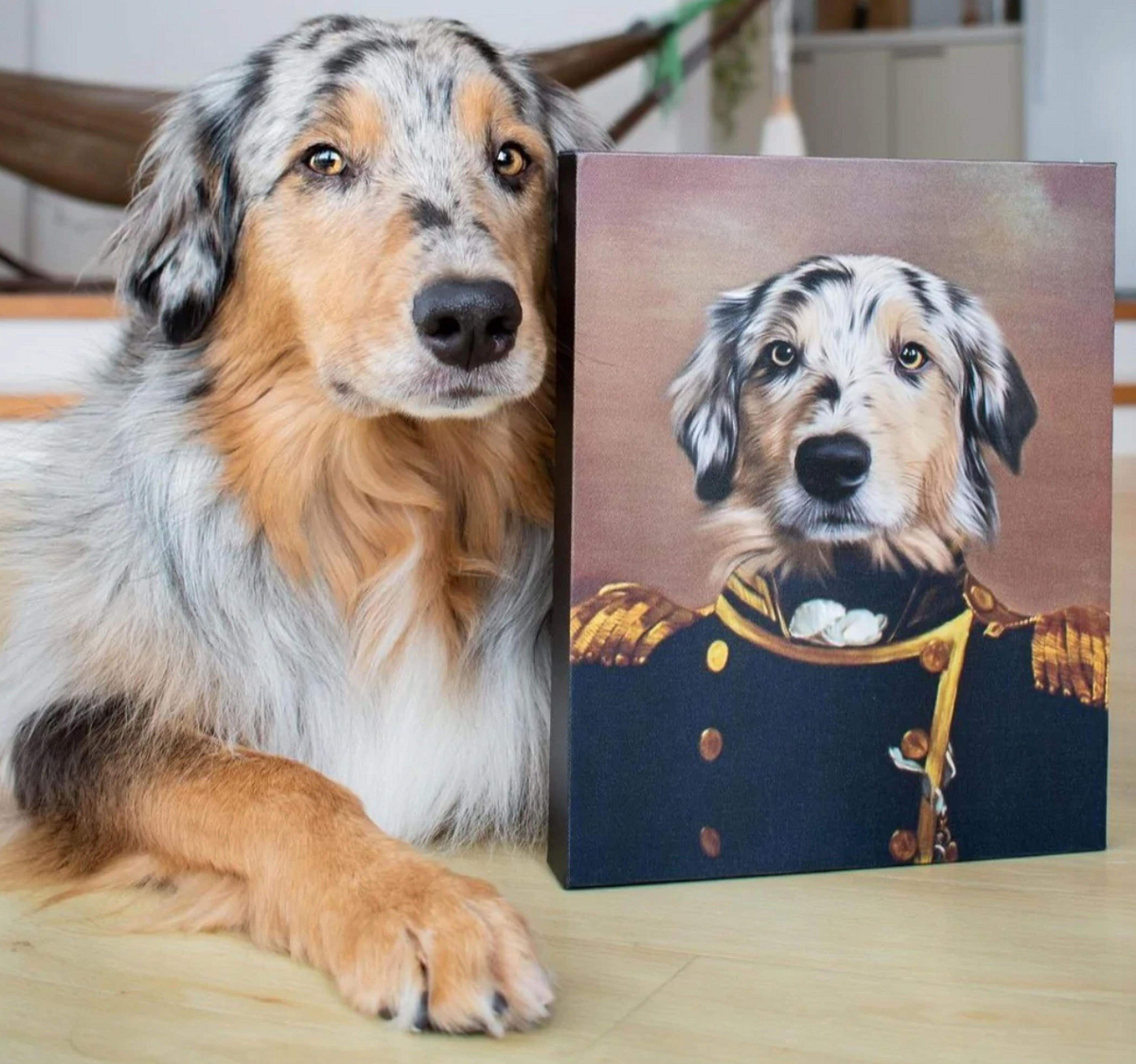 Custom Pet Portraits