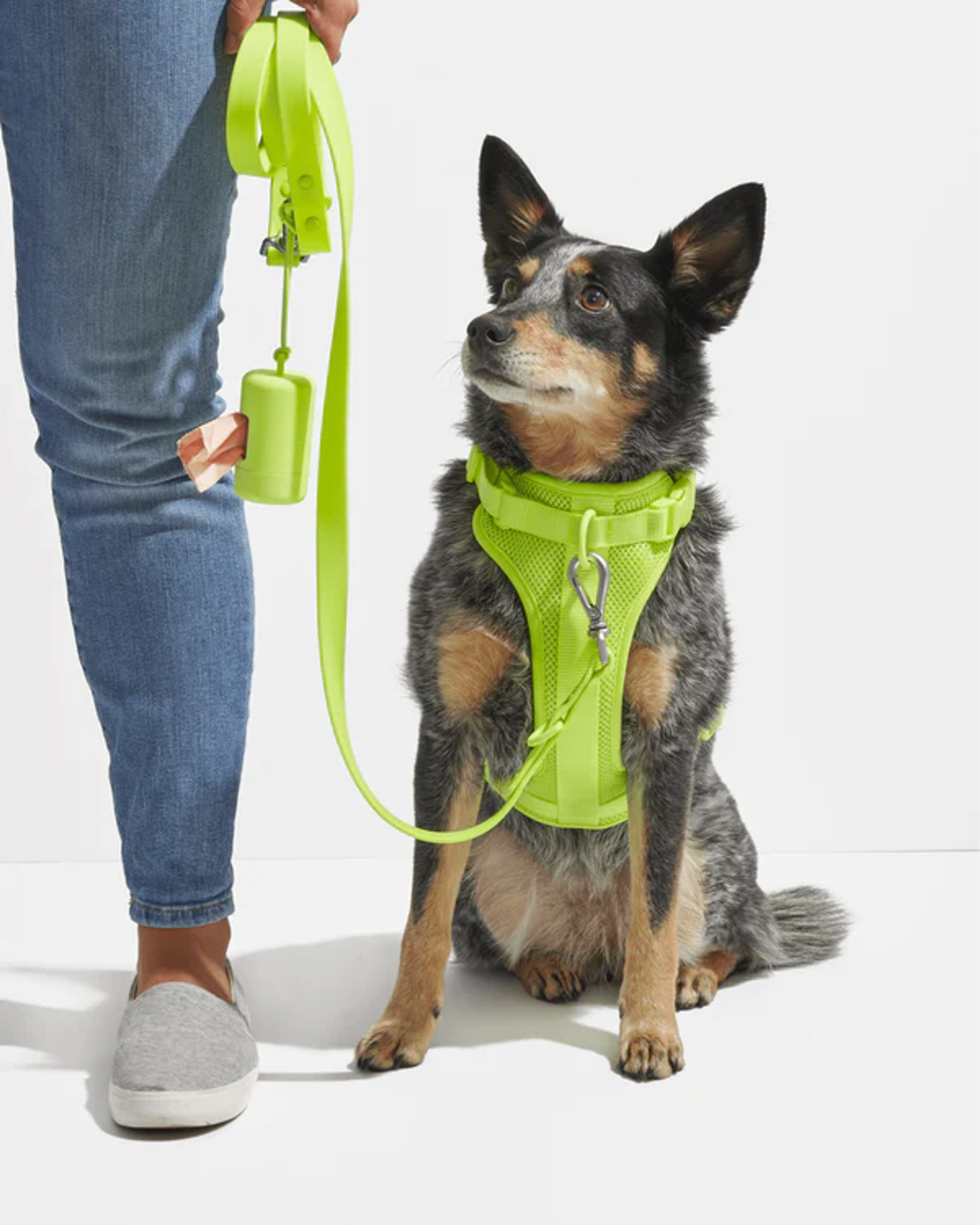 Dog Poop Bag Holder | Wild One