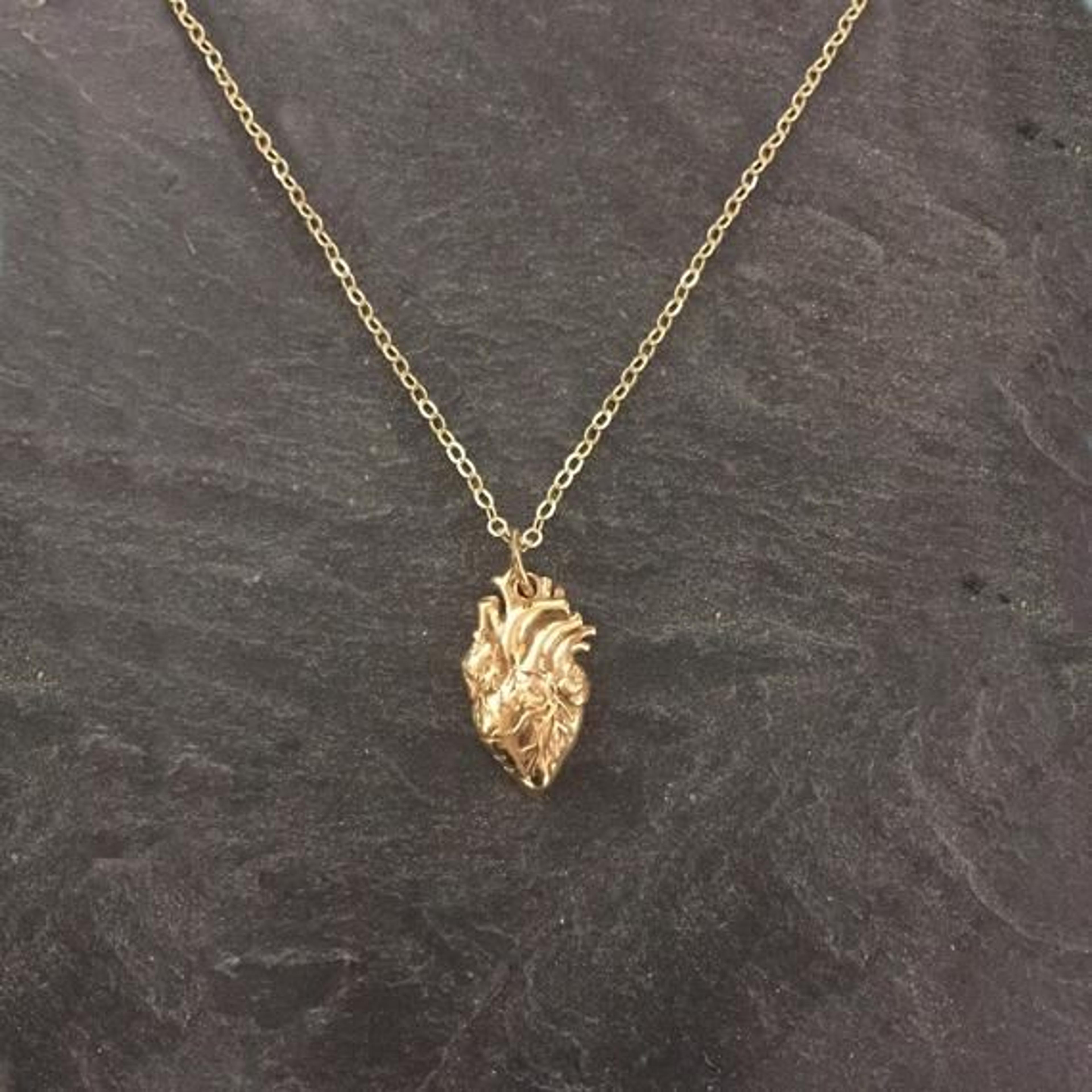 Golden Anatomical Heart Necklace - Sterling Silver Anatomical Heart Necklace - Gold Real Heart