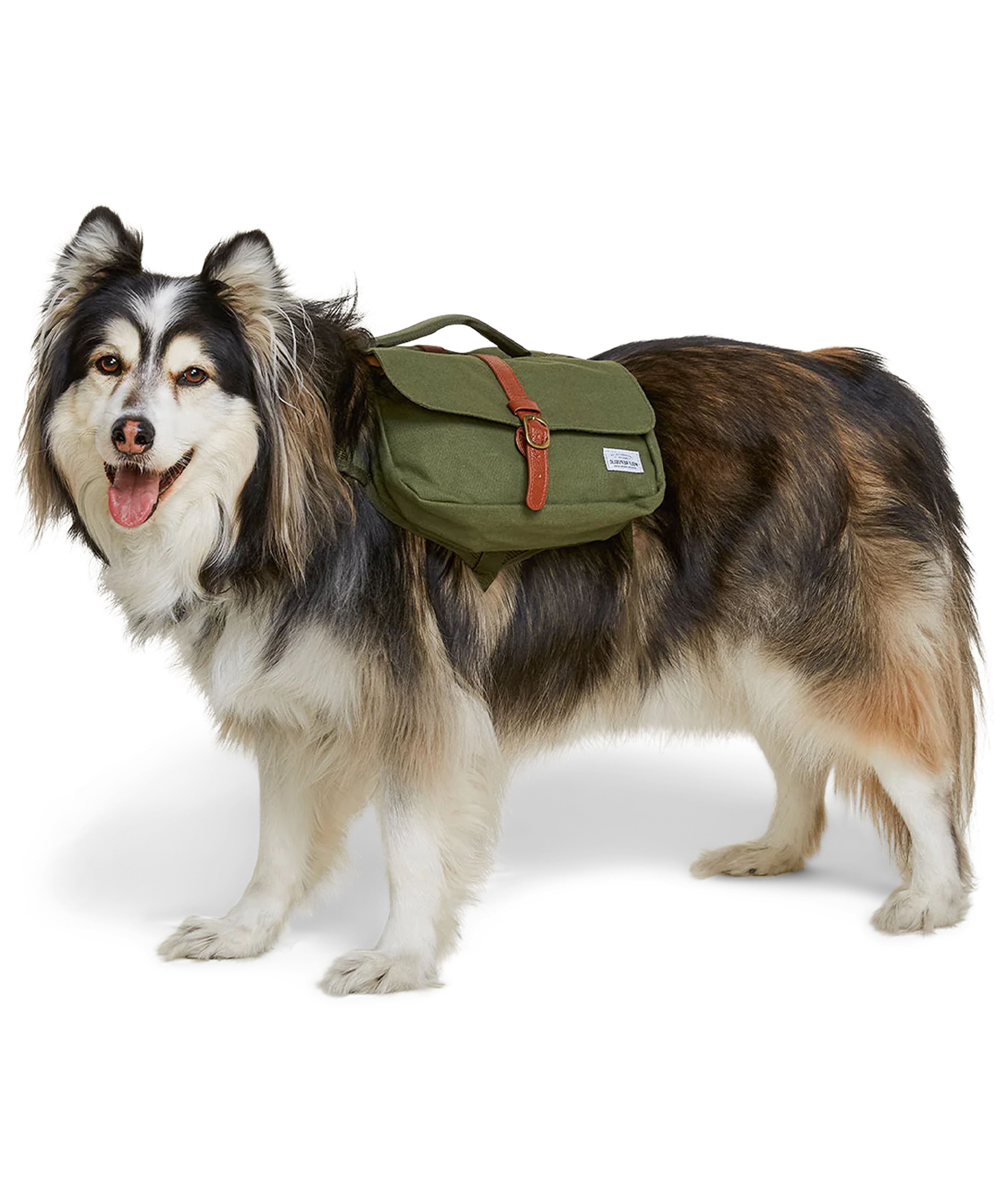 Ranger Pack | Dog Backpack