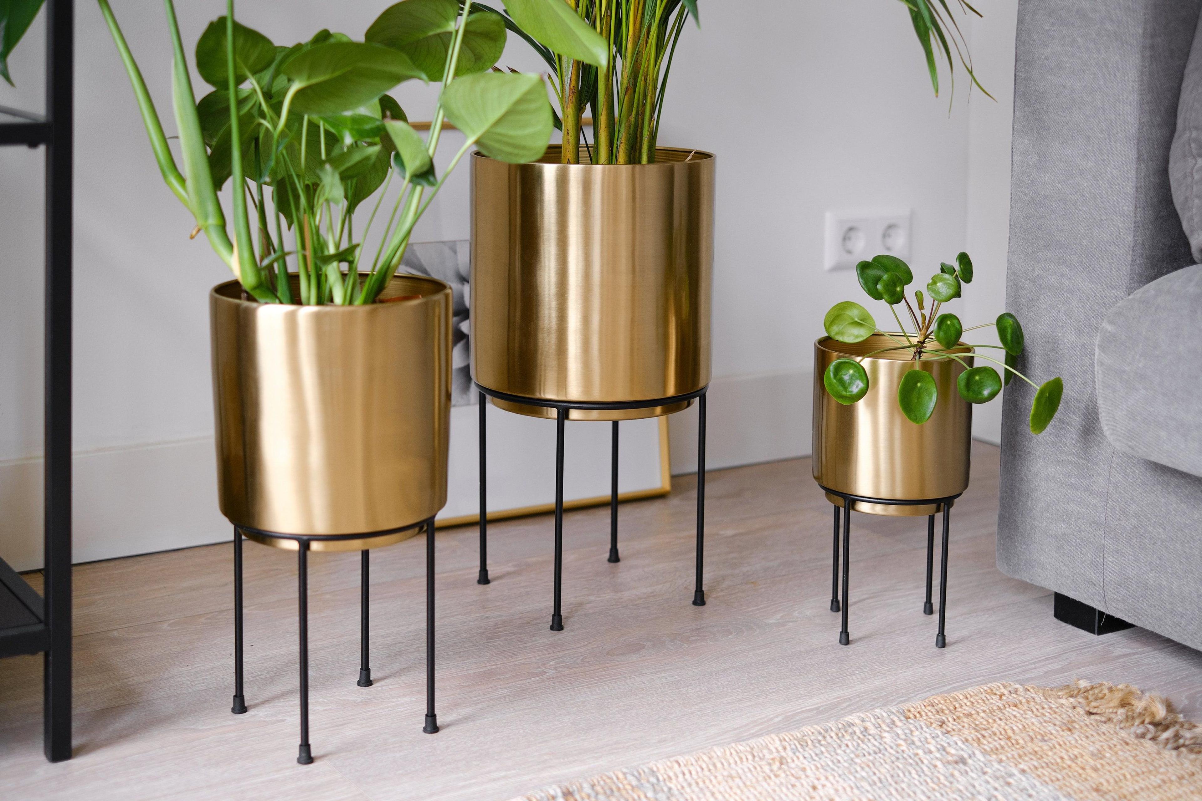 Set 3 Brass Gold Large Planters with Black Stand, Standing Metal Pot for Fig Tree, Snake Plant & Palm, Tall Floor Tree Floor Planter, Modern