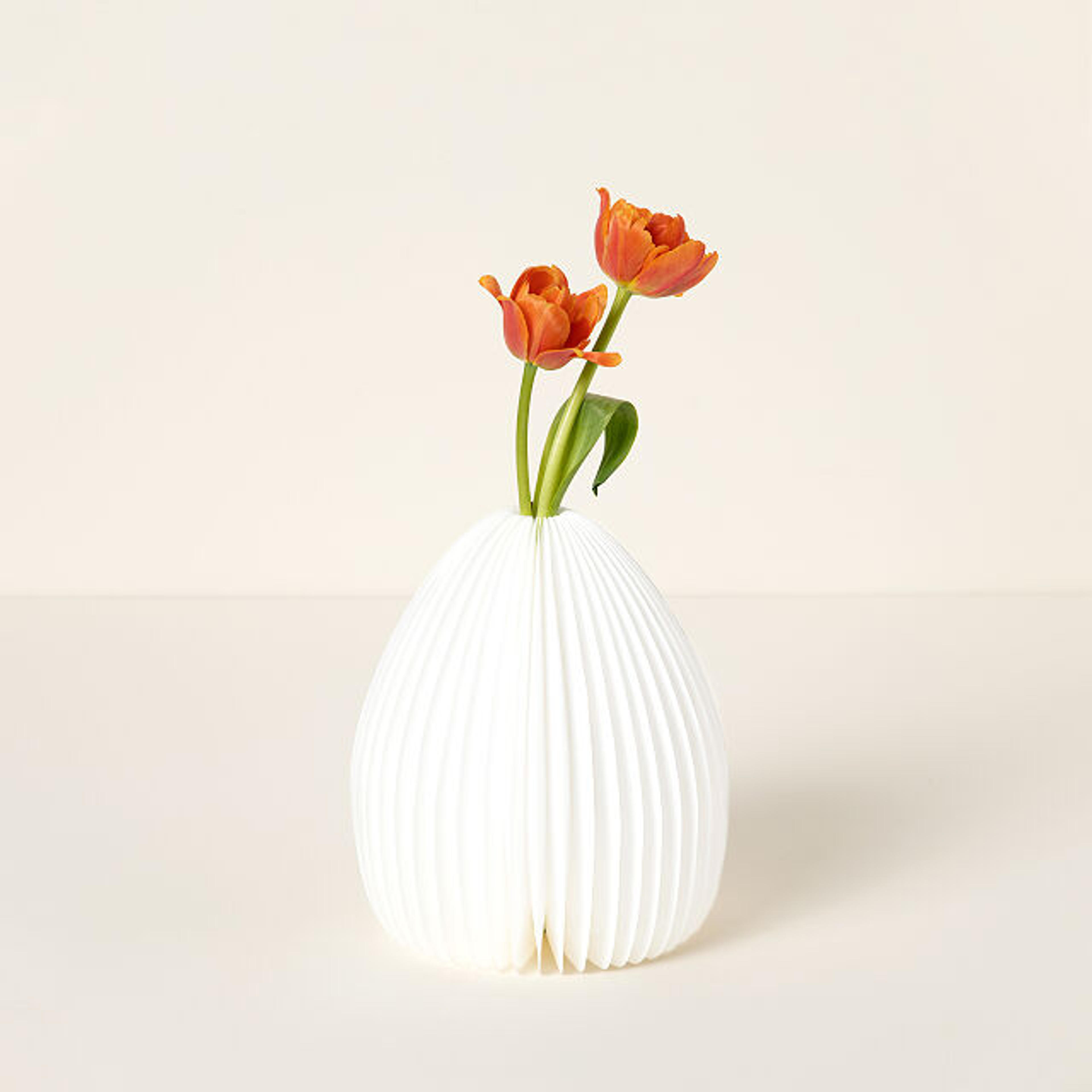Accordion Paper Vase Light