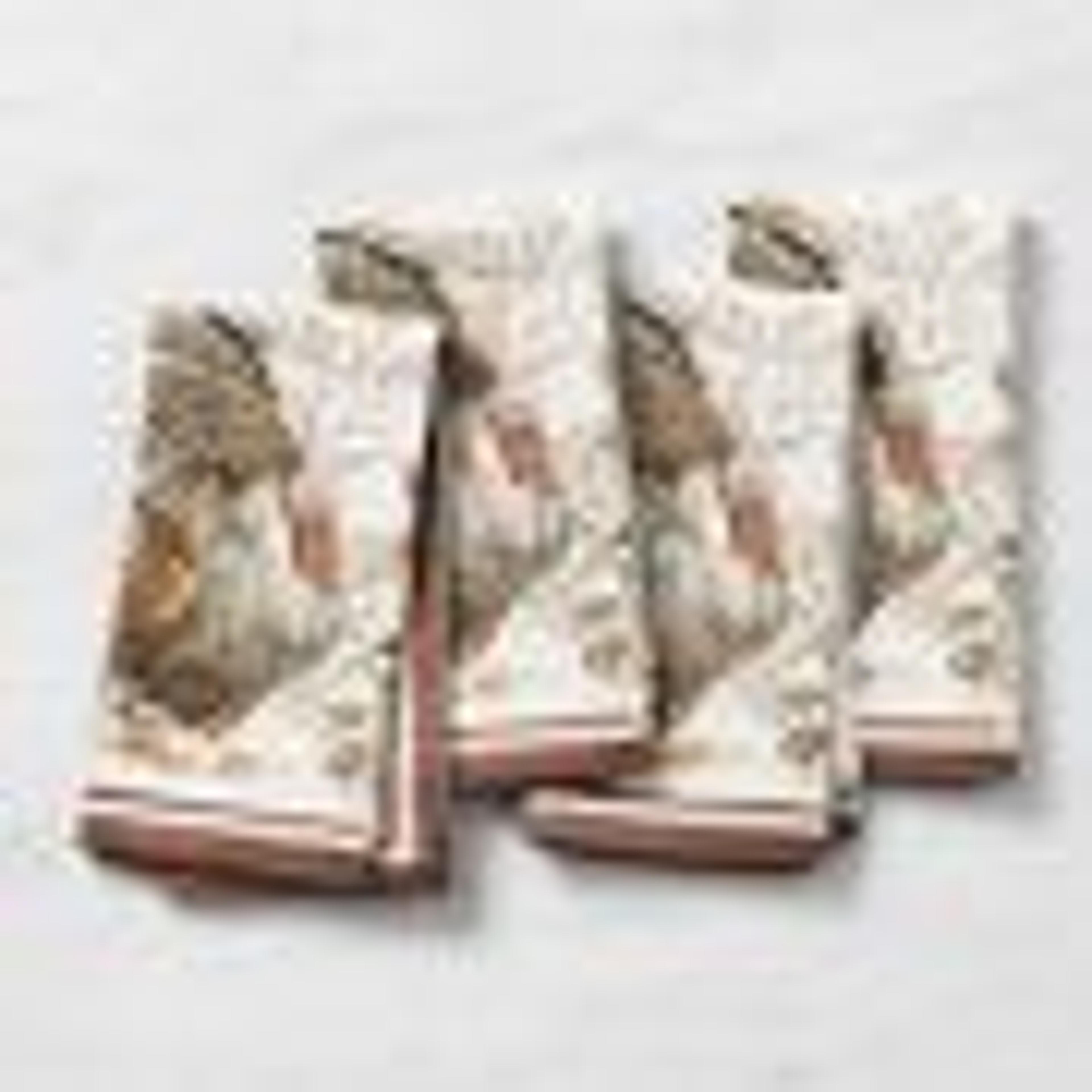 Autumn Plymouth Turkey Napkins, Set of 4 | Williams Sonoma